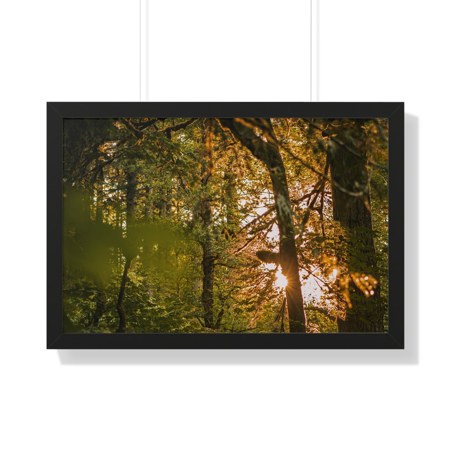 Oregon - Latourell Falls Sunset - Framed Horizontal Poster