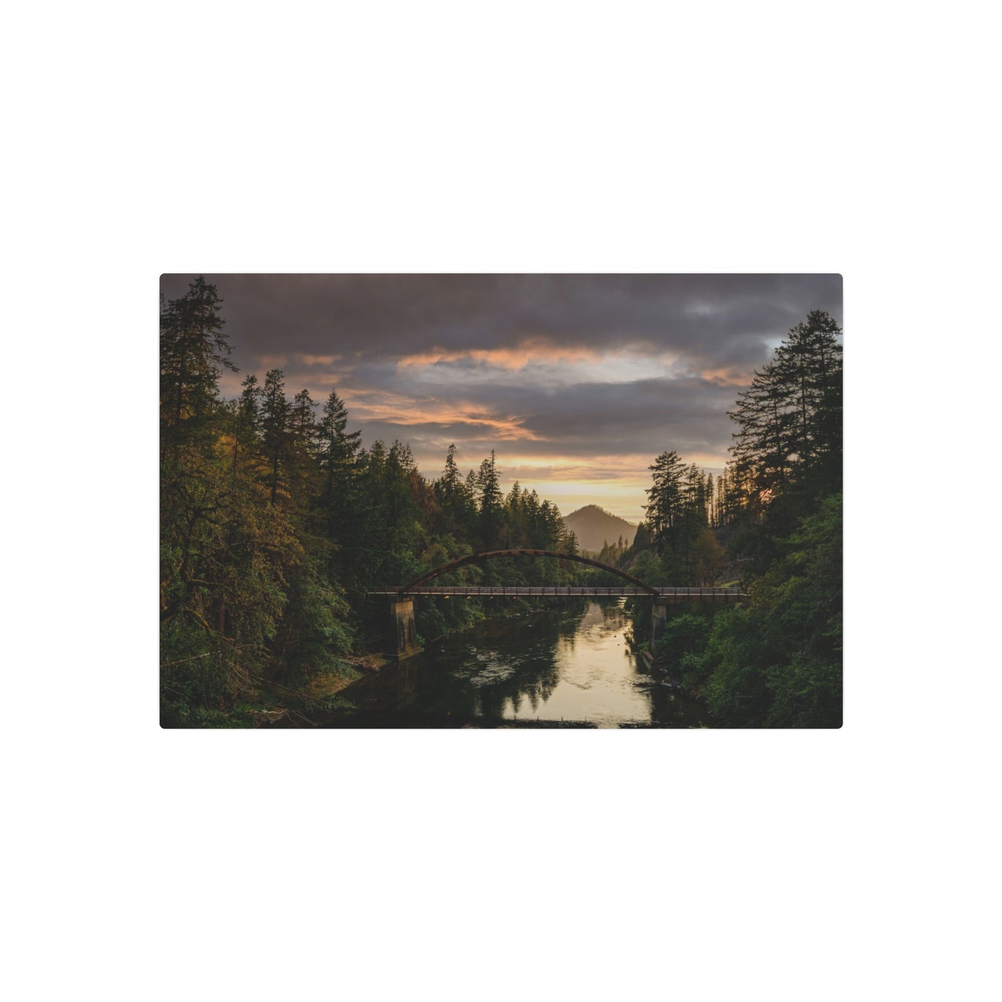 Oregon - Tioga Bridge - Metal Art Sign