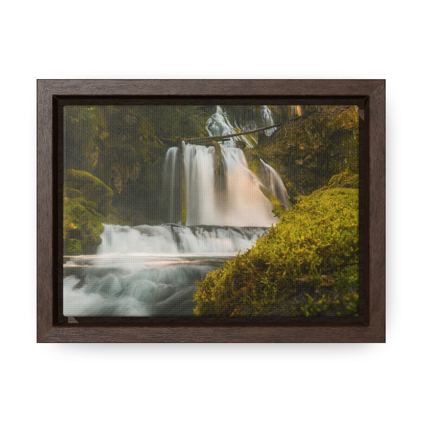 Washington - Lower Panther Creek Falls - Gallery Canvas Wrap, Horizontal Frame