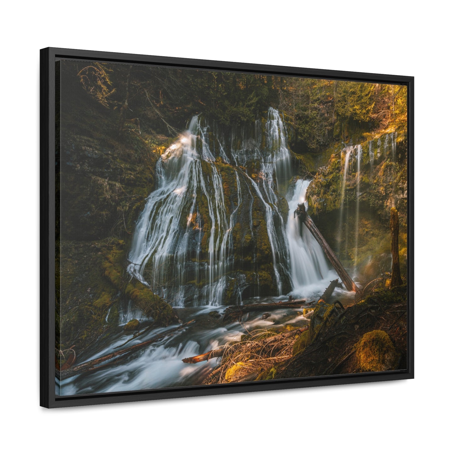 Washington - Panther Creek Falls - Gallery Canvas Wrap, Horizontal Frame