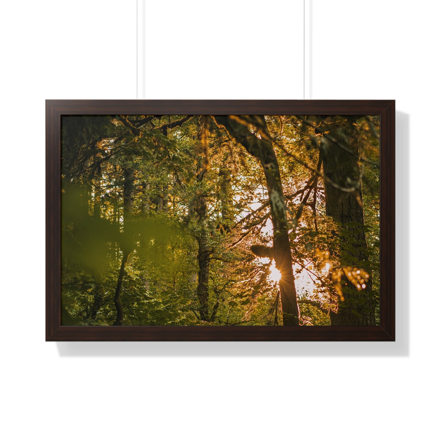 Oregon - Latourell Falls Sunset - Framed Horizontal Poster