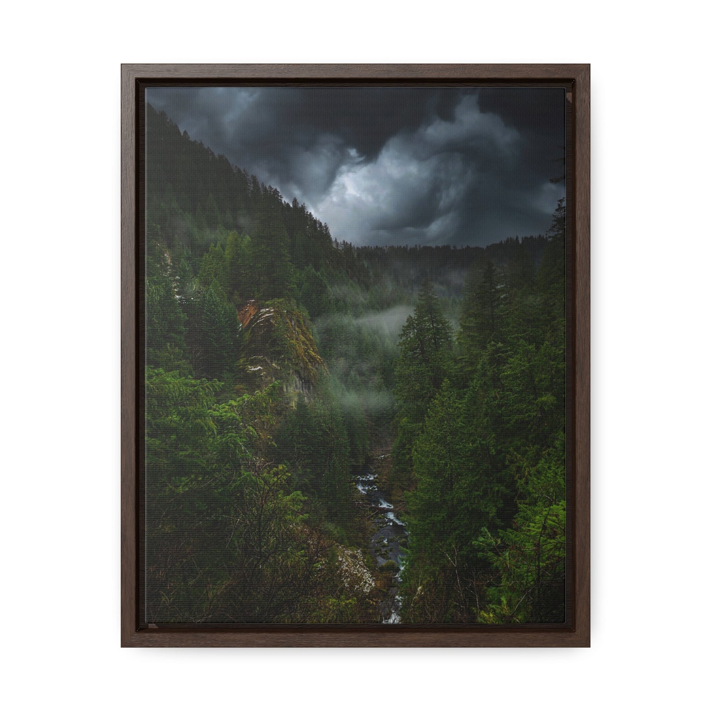Oregon - Toketee Overlook - Gallery Canvas Wraps, Vertical Frame