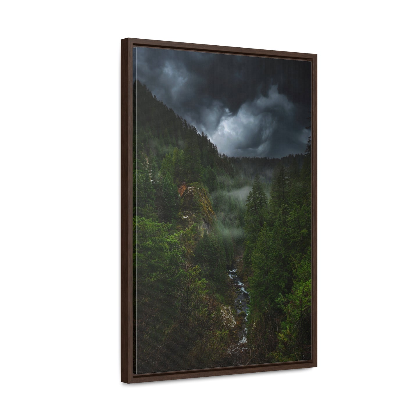 Oregon - Toketee Overlook - Gallery Canvas Wraps, Vertical Frame