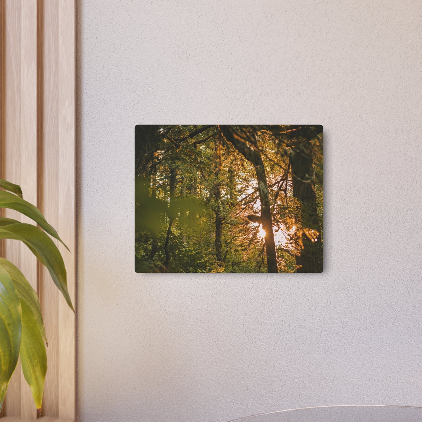Oregon - Latourell Falls Sunset - Metal Art Sign