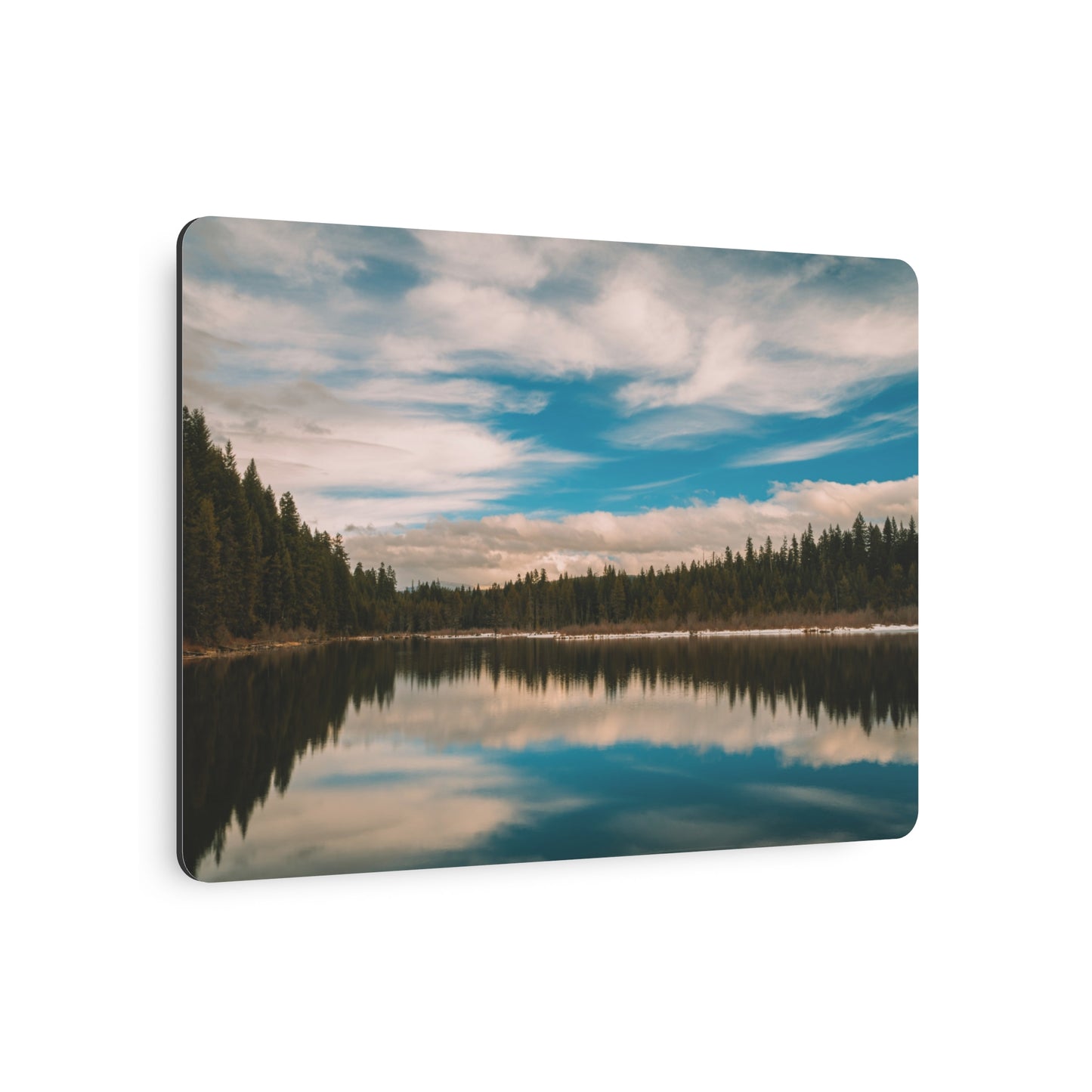 Oregon - Stump Lake - Metal Art Sign