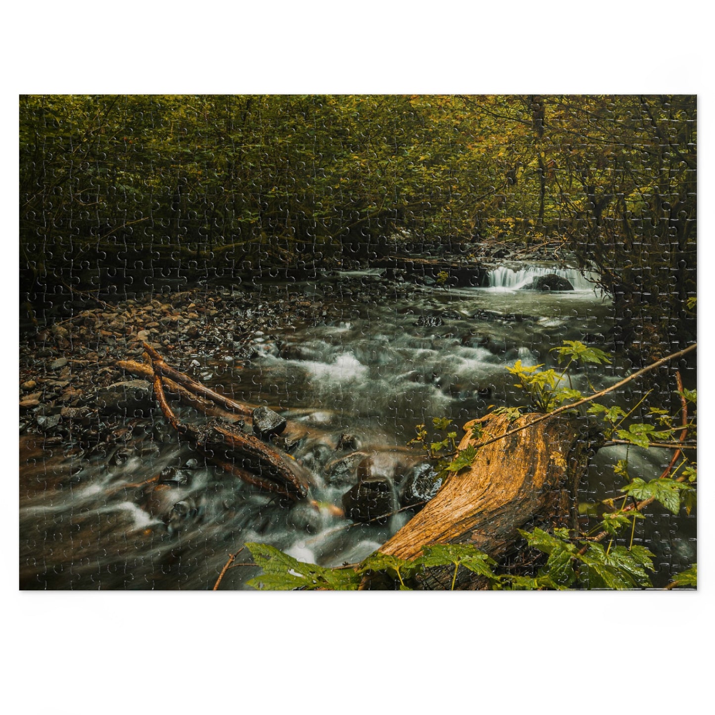 Oregon - Latourell Falls Small Creek - Jigsaw Puzzle (30, 110, 252, 500,1000-Piece)