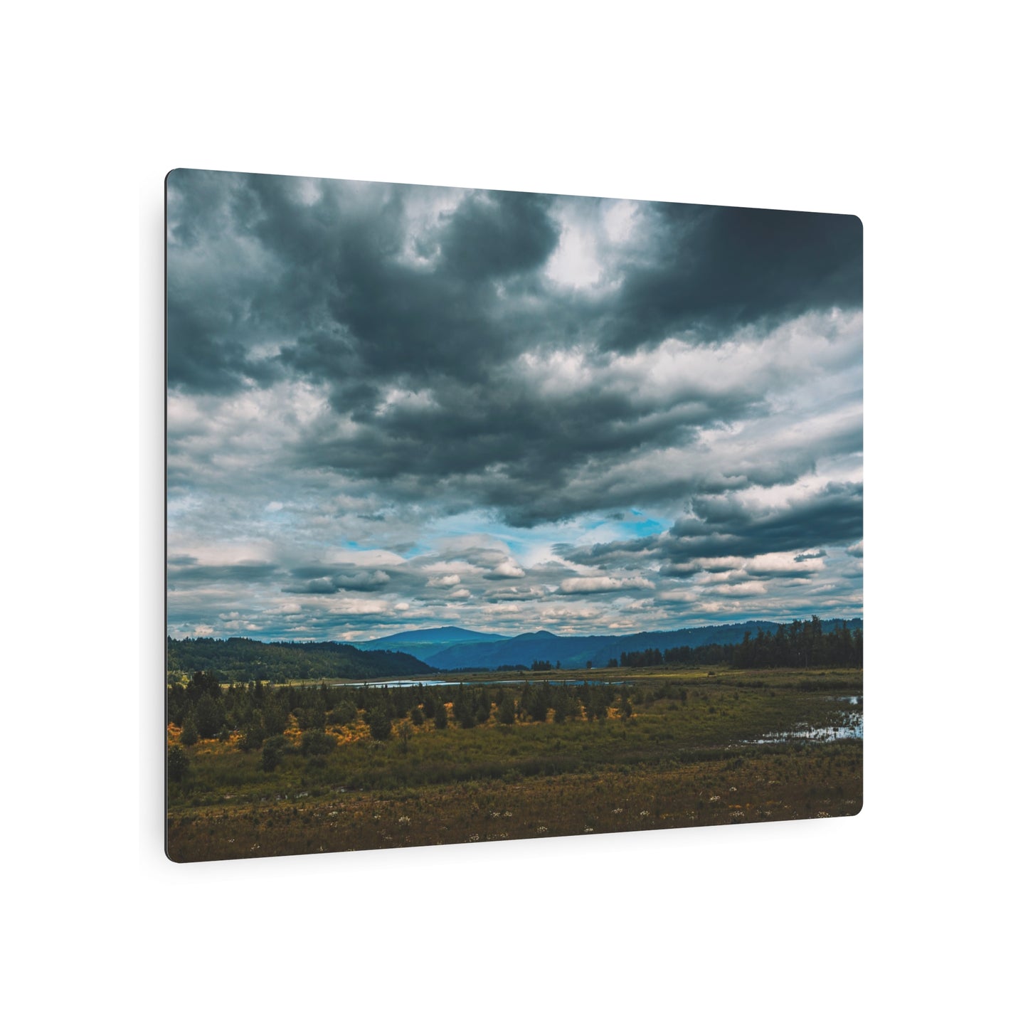 Washington - Steigerwald Lake National Wildlife Refuge - 2 - Metal Art Sign