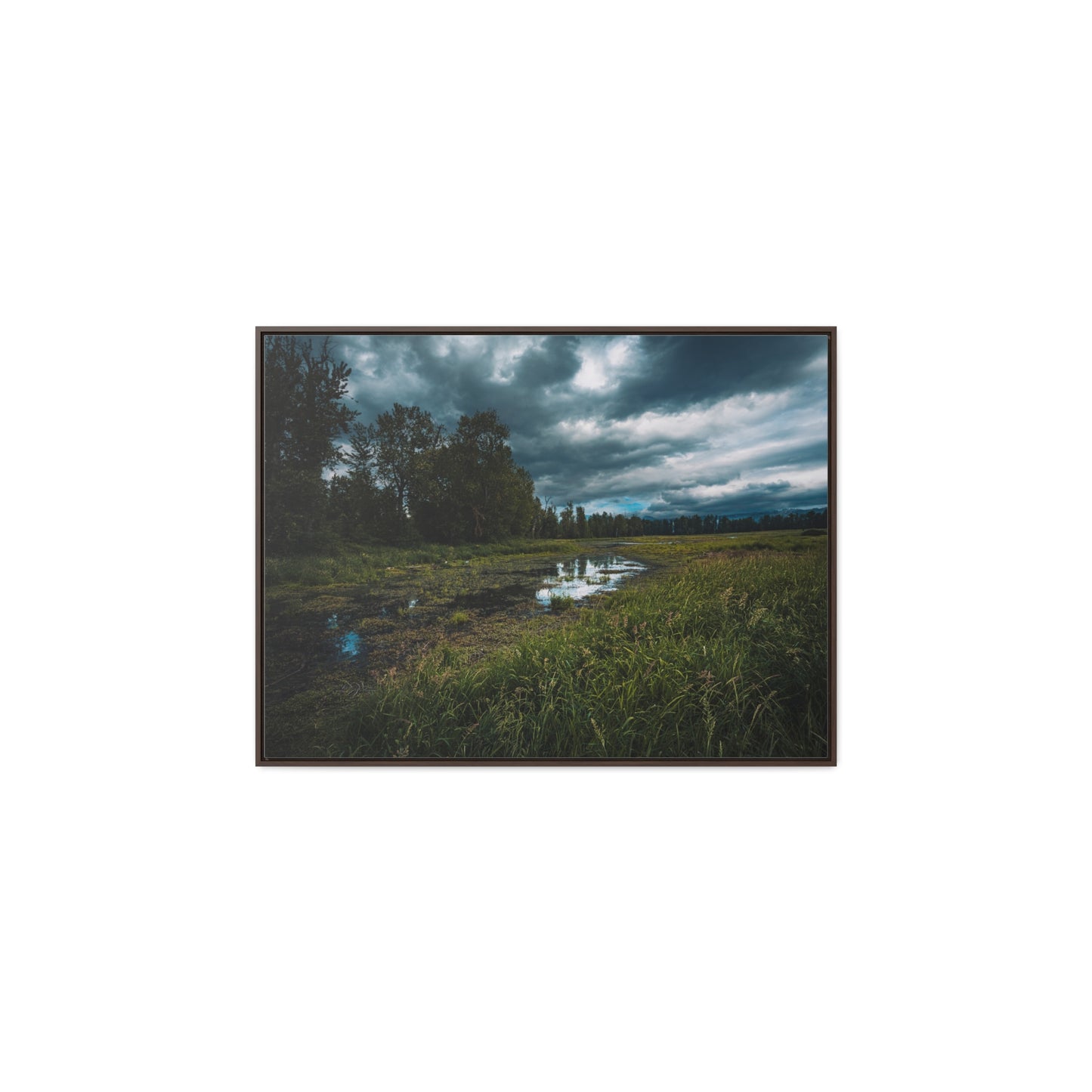 Washington - Steigerwald Lake National Wildlife Refuge - Gallery Canvas Wrap, Horizontal Frame