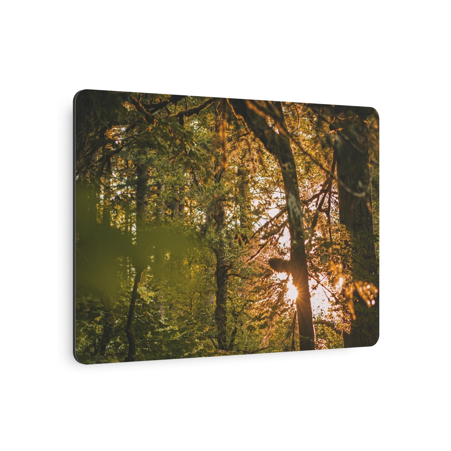 Oregon - Latourell Falls Sunset - Metal Art Sign