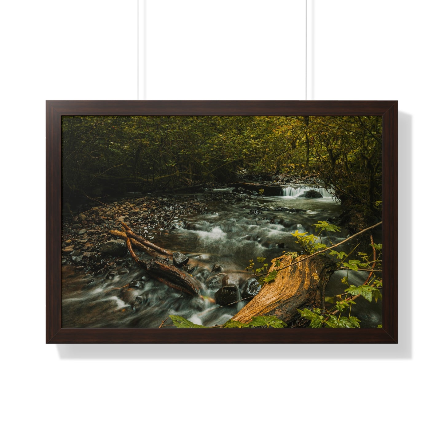 Oregon - Latourell Falls Small Creek - Framed Horizontal Poster