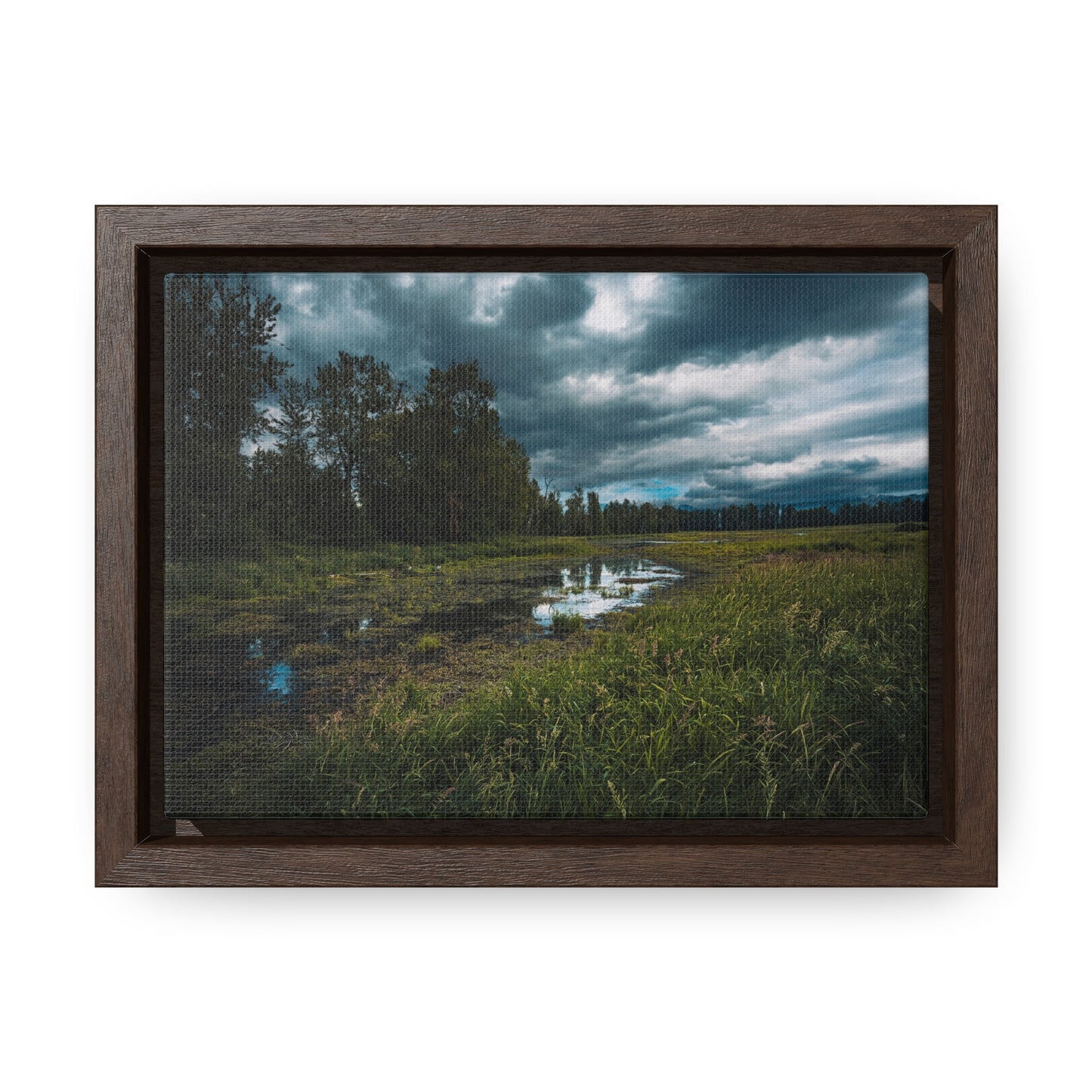 Washington - Steigerwald Lake National Wildlife Refuge - Gallery Canvas Wrap, Horizontal Frame