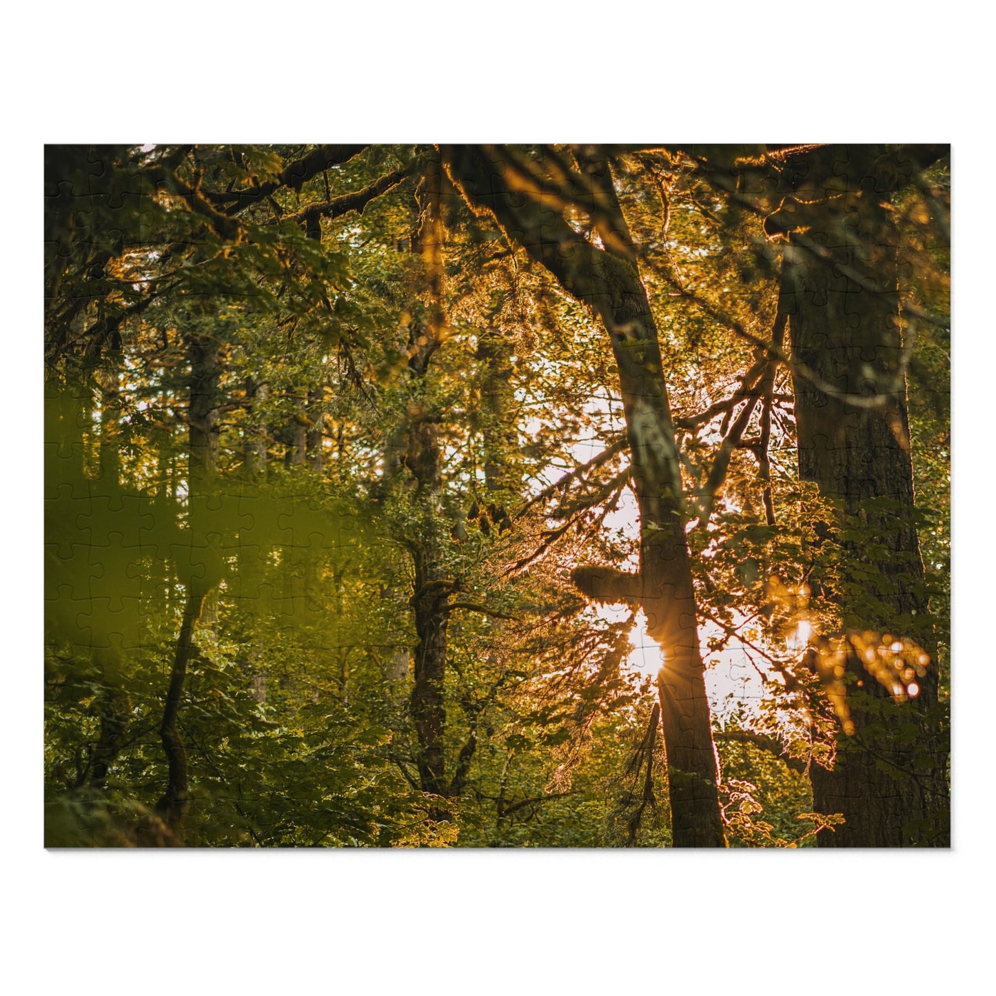 Oregon - Latourell Falls Sunset - Jigsaw Puzzle (30, 110, 252, 500,1000-Piece)