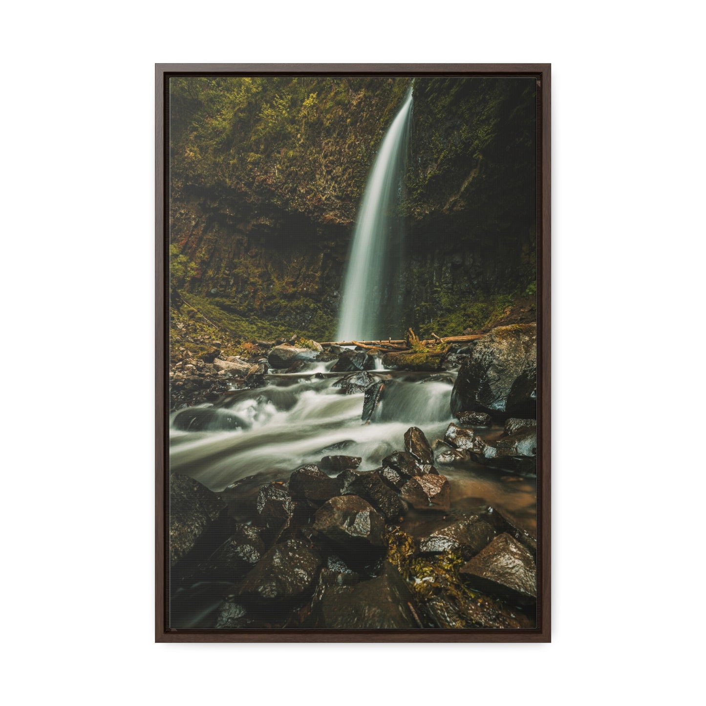 Oregon - Upper Latourell Falls - Gallery Canvas Wraps, Vertical Frame