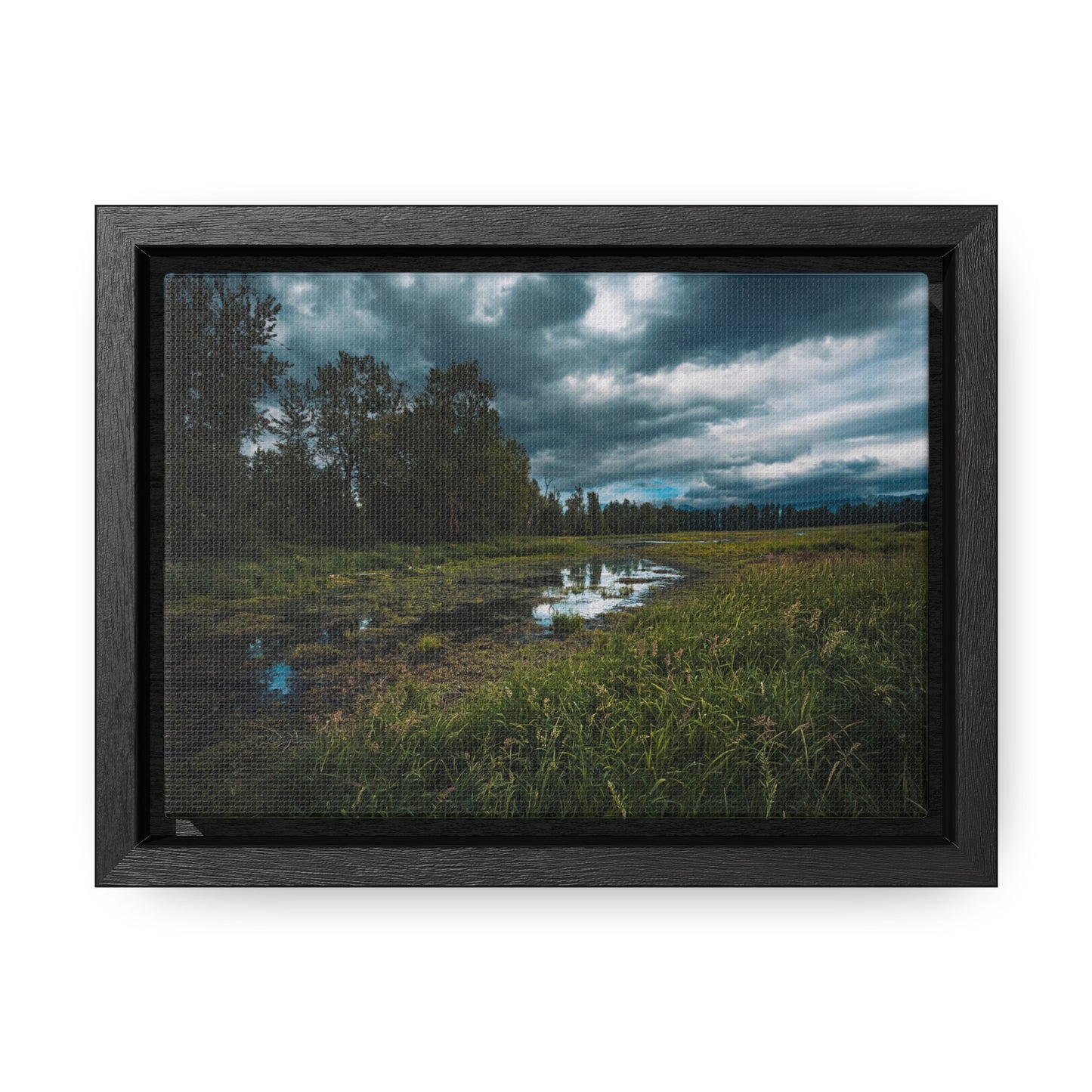 Washington - Steigerwald Lake National Wildlife Refuge - Gallery Canvas Wrap, Horizontal Frame