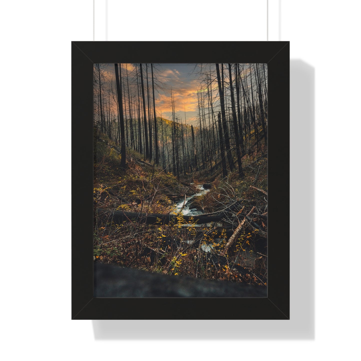 Oregon - Fall Creek Falls - Framed Vertical Poster