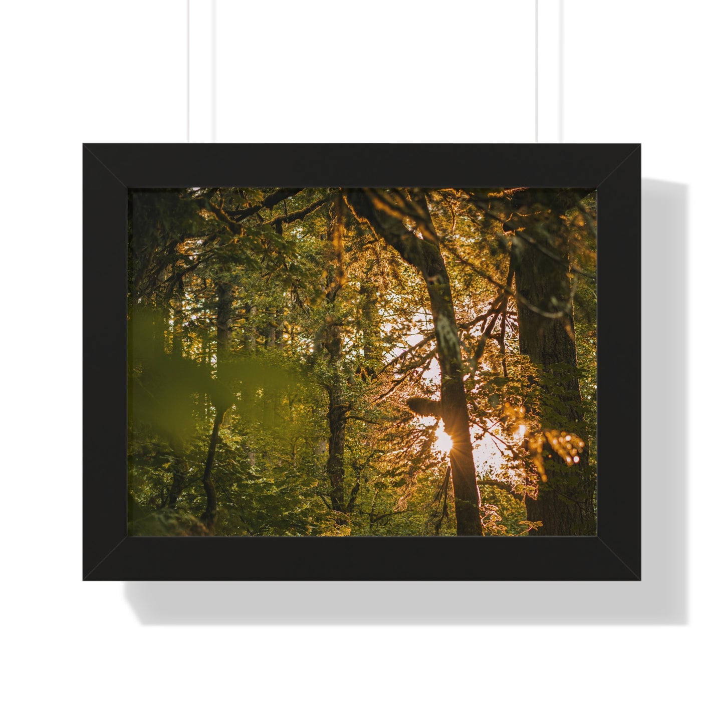 Oregon - Latourell Falls Sunset - Framed Horizontal Poster