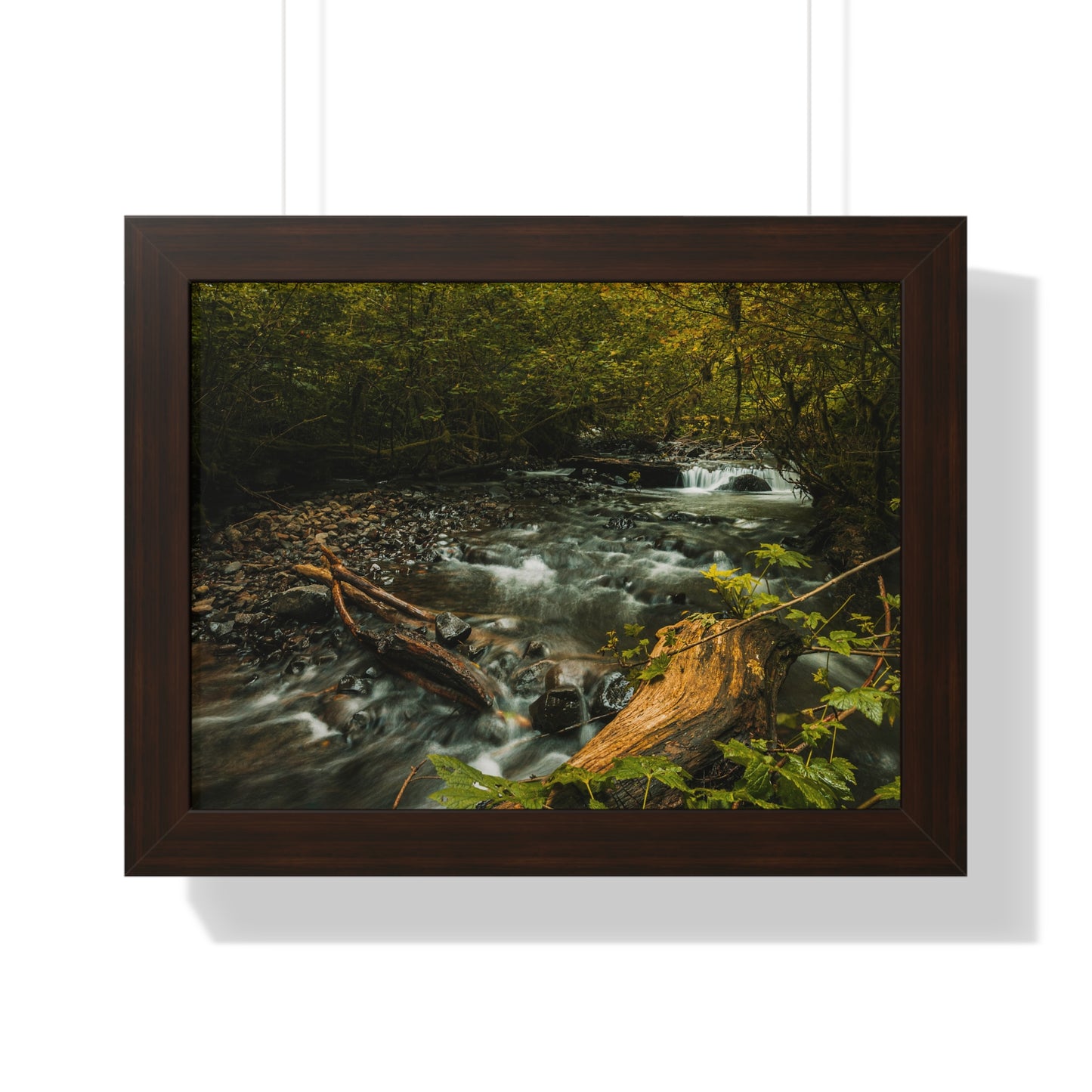 Oregon - Latourell Falls Small Creek - Framed Horizontal Poster