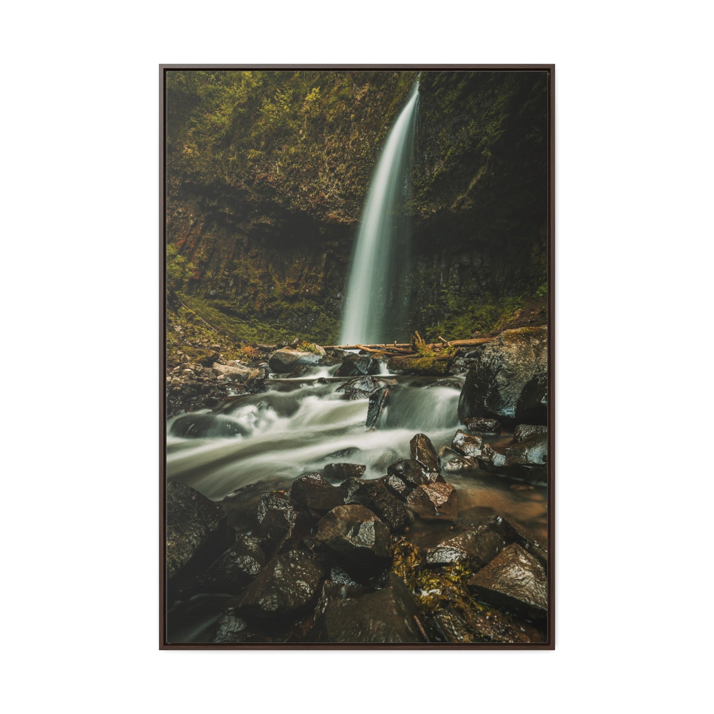 Oregon - Upper Latourell Falls - Gallery Canvas Wraps, Vertical Frame