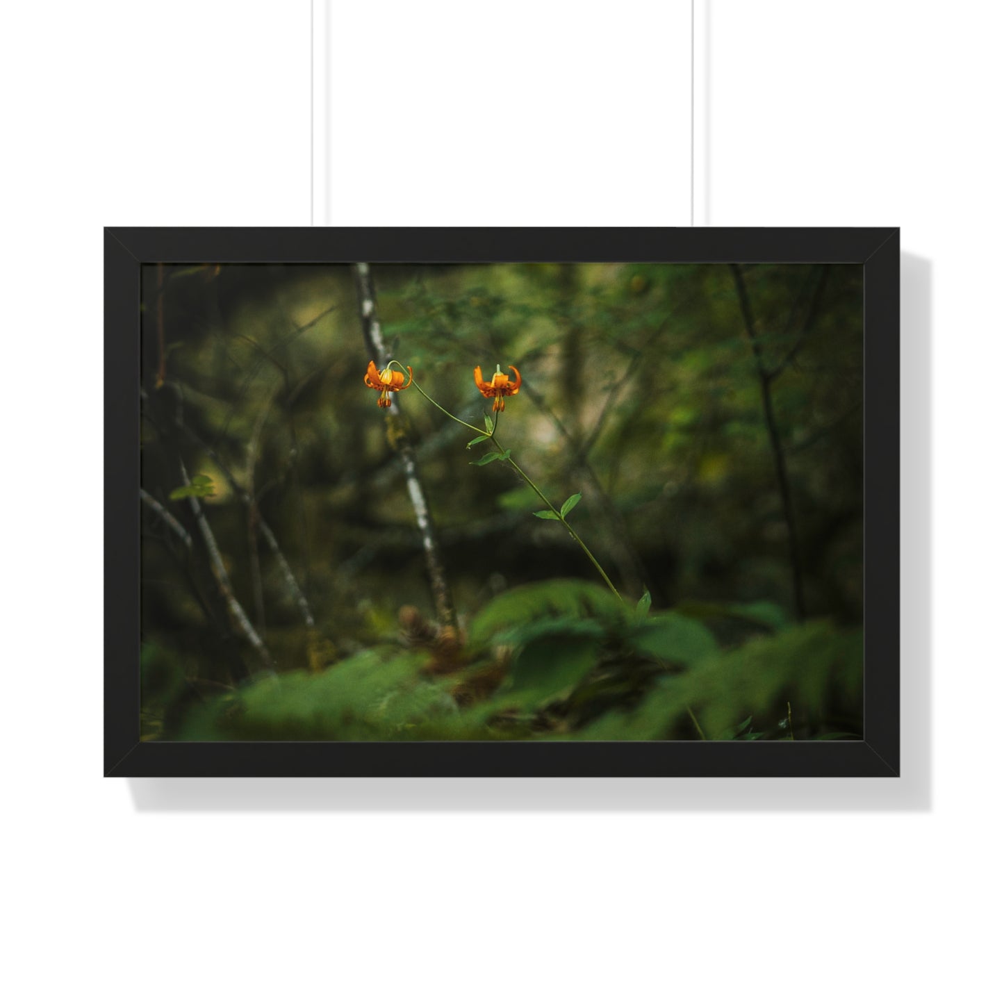Oregon Tiger Lily - Framed Horizontal Poster