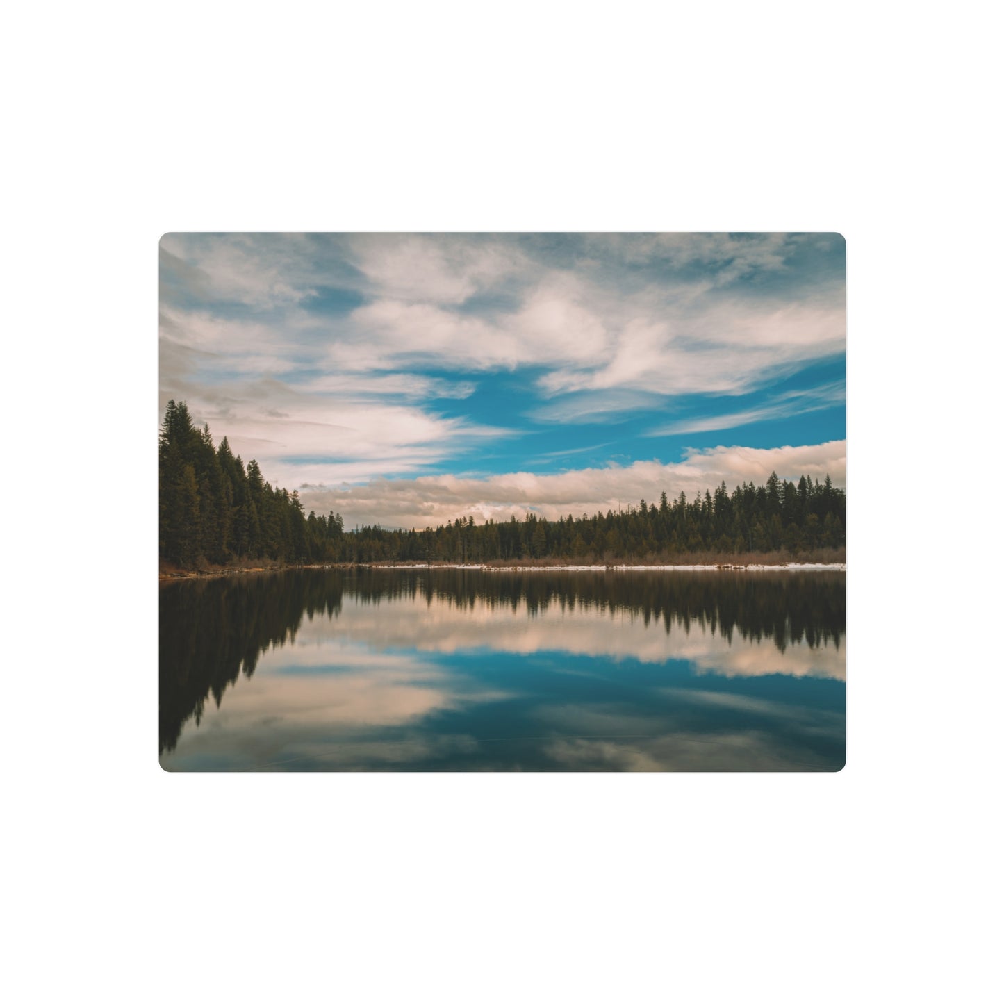Oregon - Stump Lake - Metal Art Sign