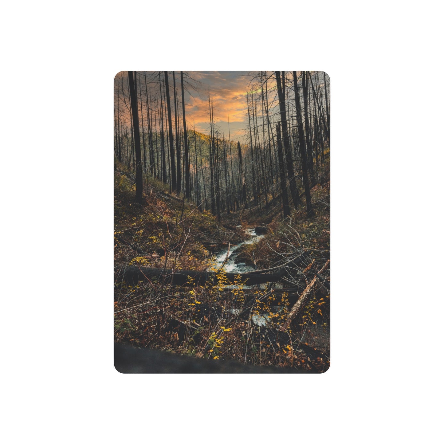 Oregon - Upper Latourell Falls - Metal Art Sign