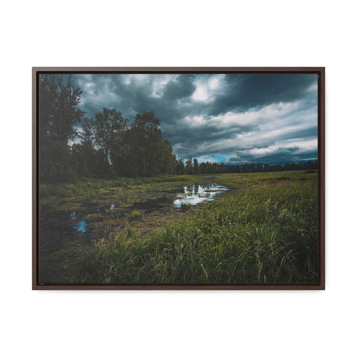 Washington - Steigerwald Lake National Wildlife Refuge - Gallery Canvas Wrap, Horizontal Frame