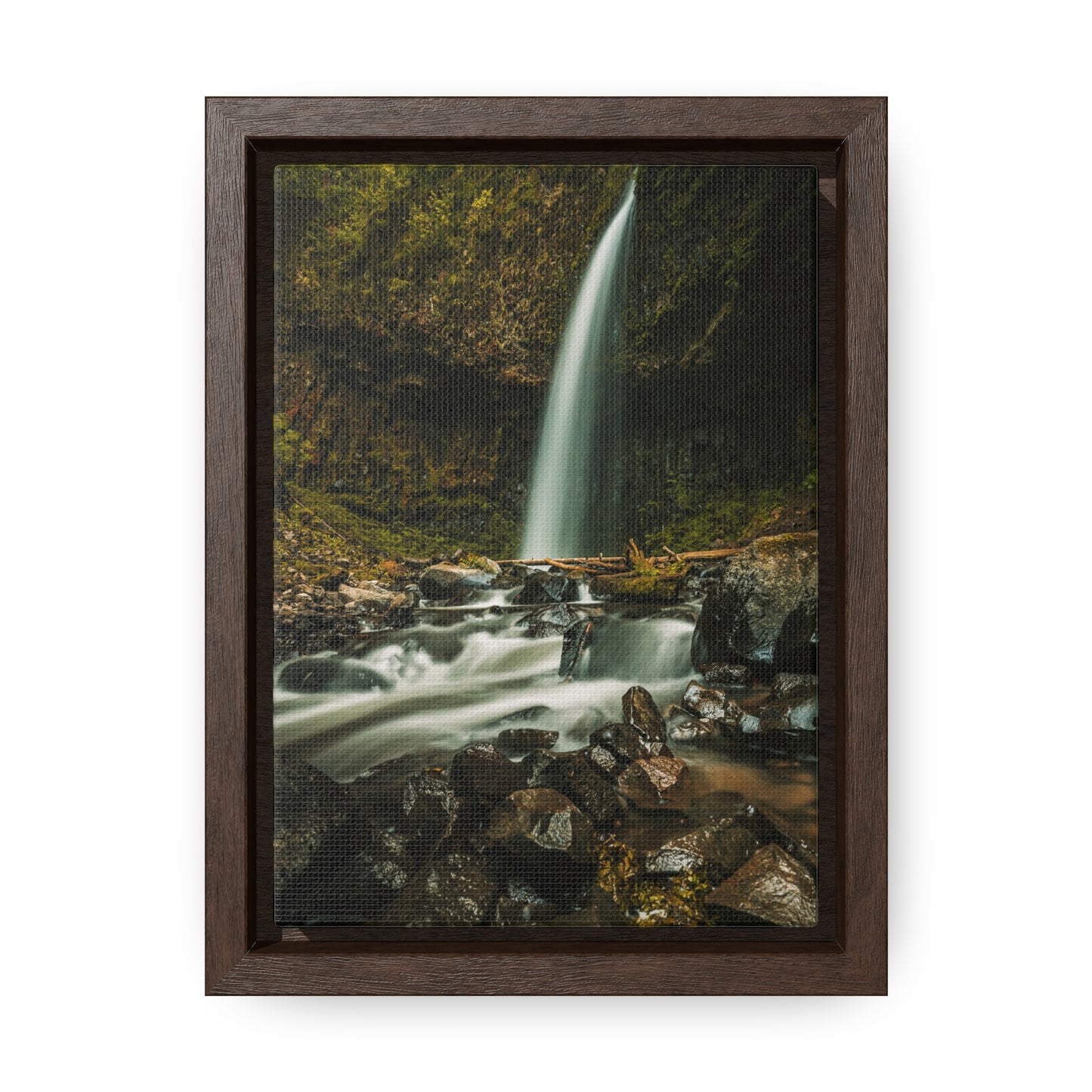 Oregon - Upper Latourell Falls - Gallery Canvas Wraps, Vertical Frame