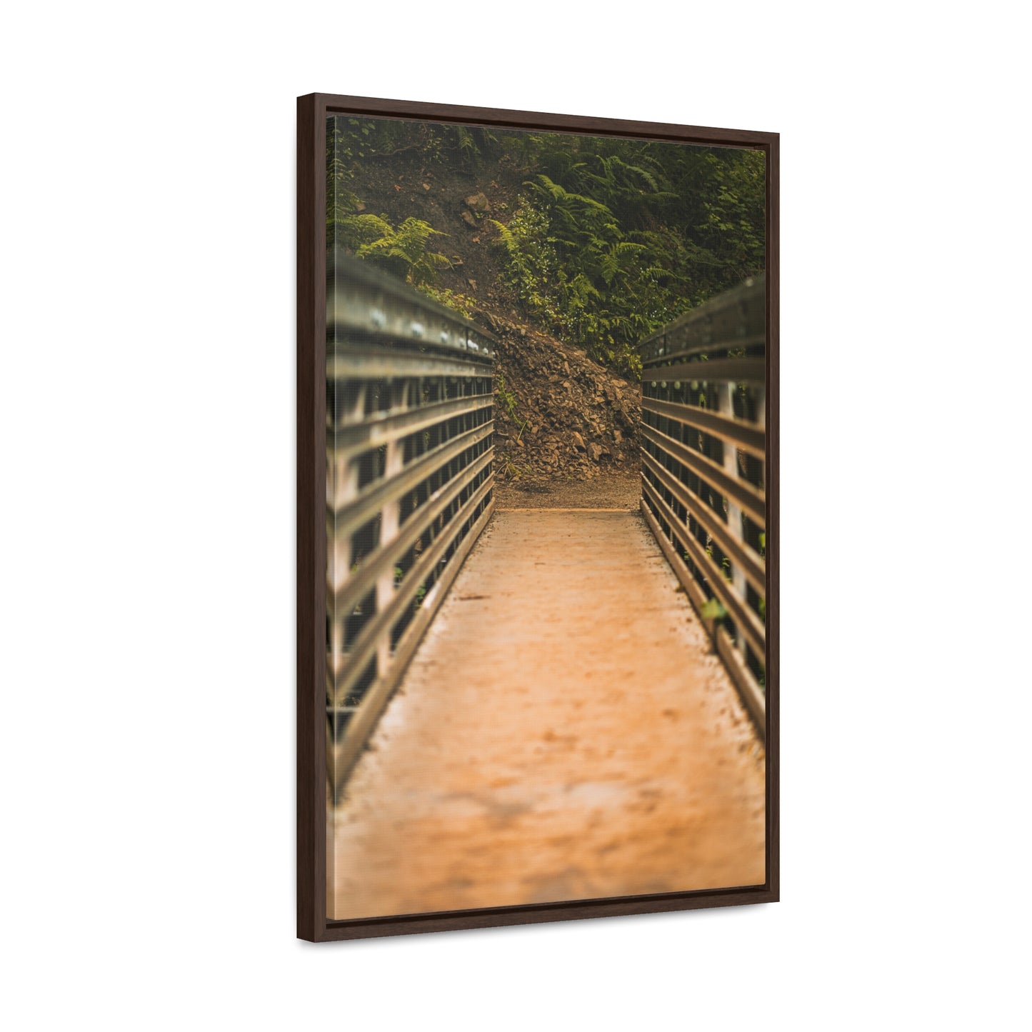 Oregon - Upper Latourell Falls Bridge - Gallery Canvas Wraps, Vertical Frame