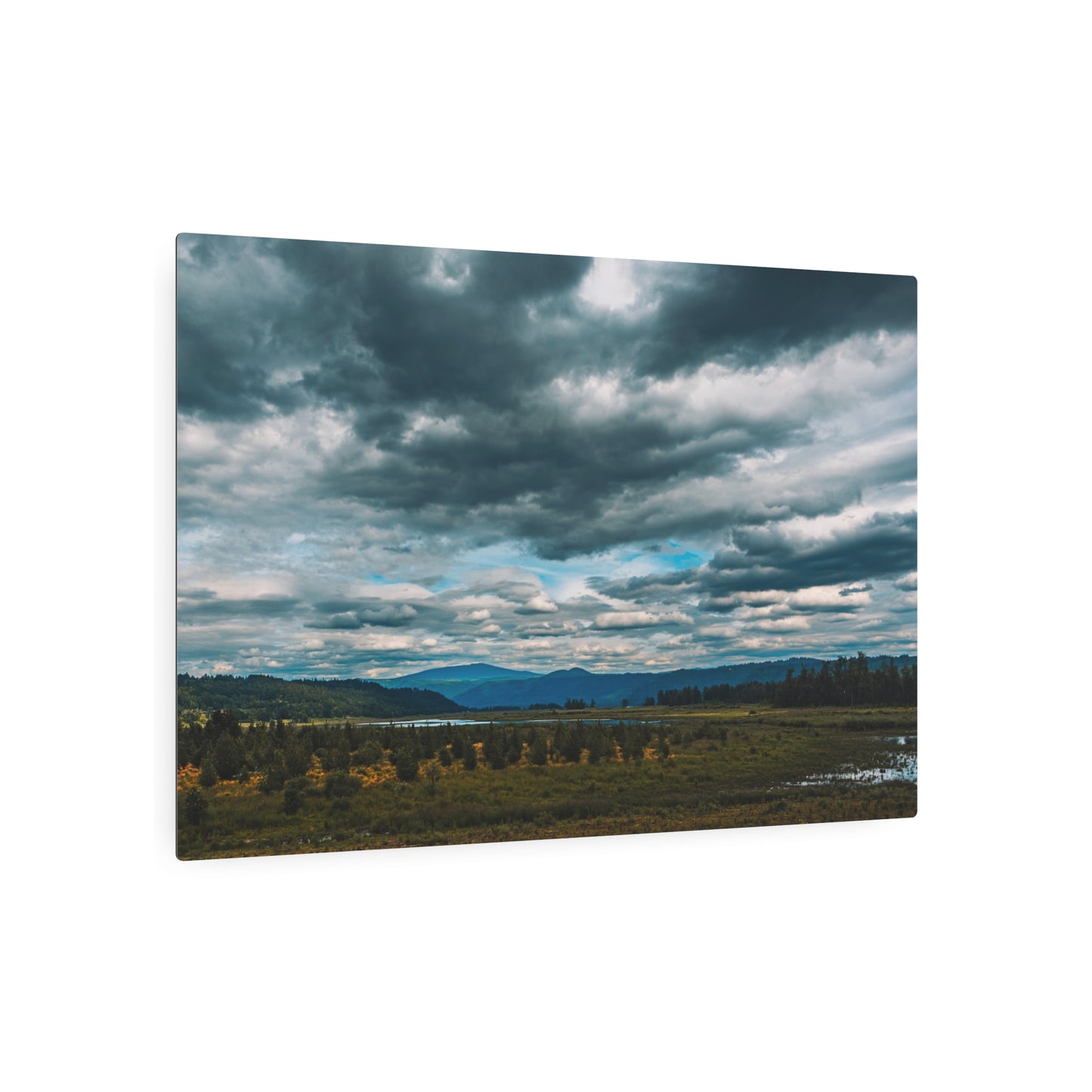 Washington - Steigerwald Lake National Wildlife Refuge - 2 - Metal Art Sign