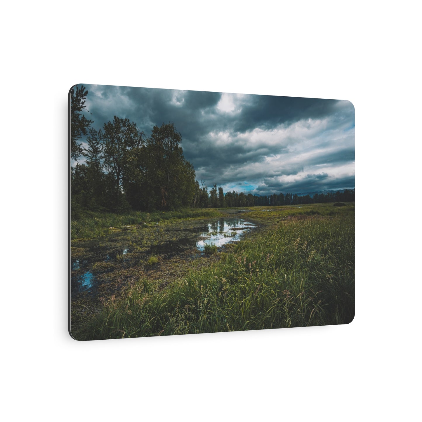 Washington - Steigerwald Lake National Wildlife Refuge - Metal Art Sign