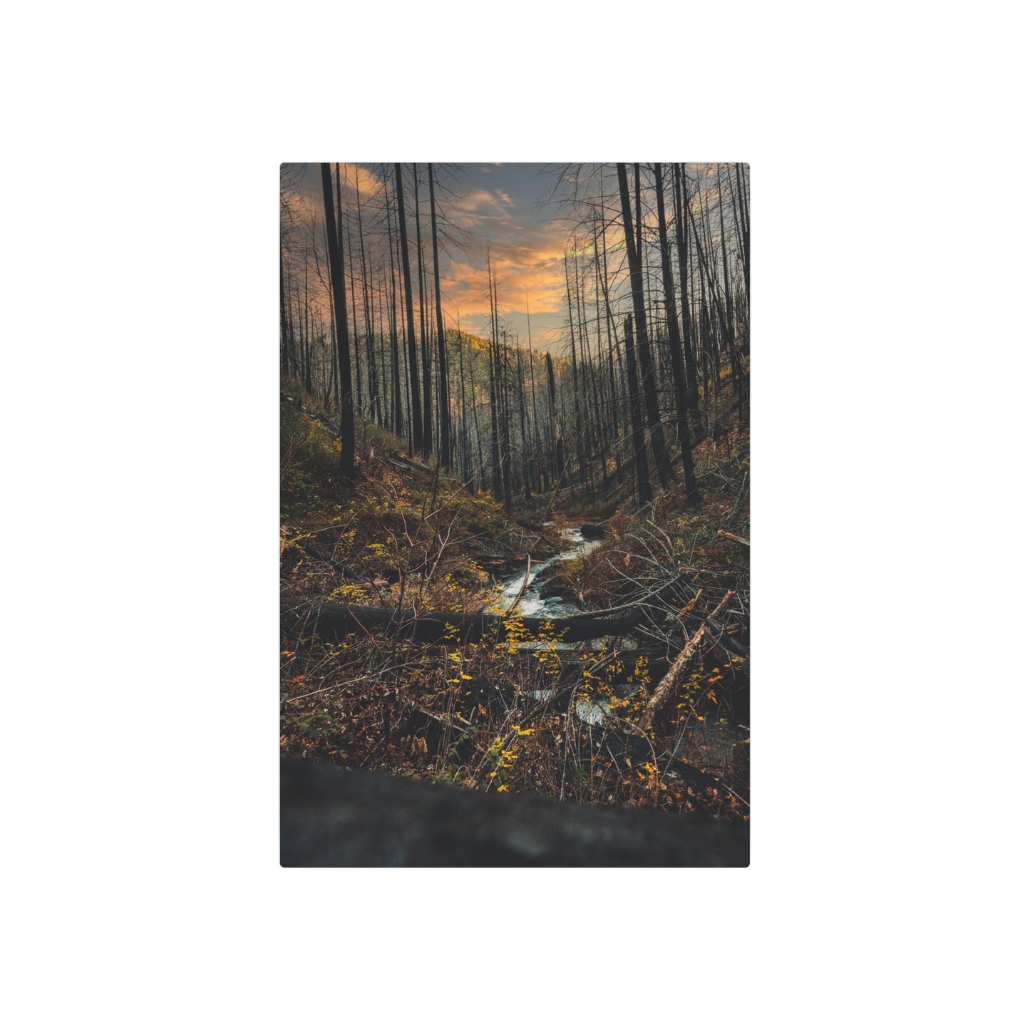 Oregon - Upper Latourell Falls - Metal Art Sign