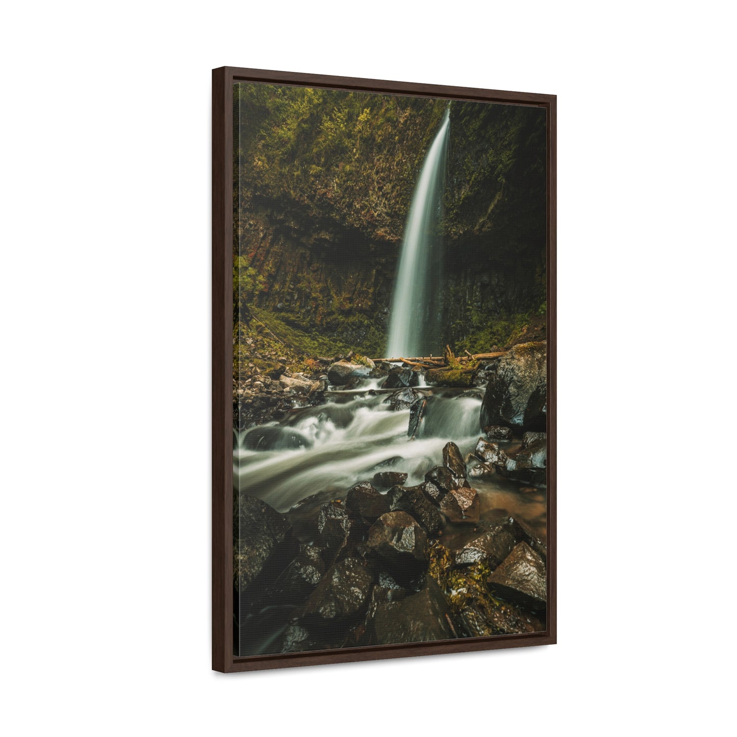 Oregon - Upper Latourell Falls - Gallery Canvas Wraps, Vertical Frame