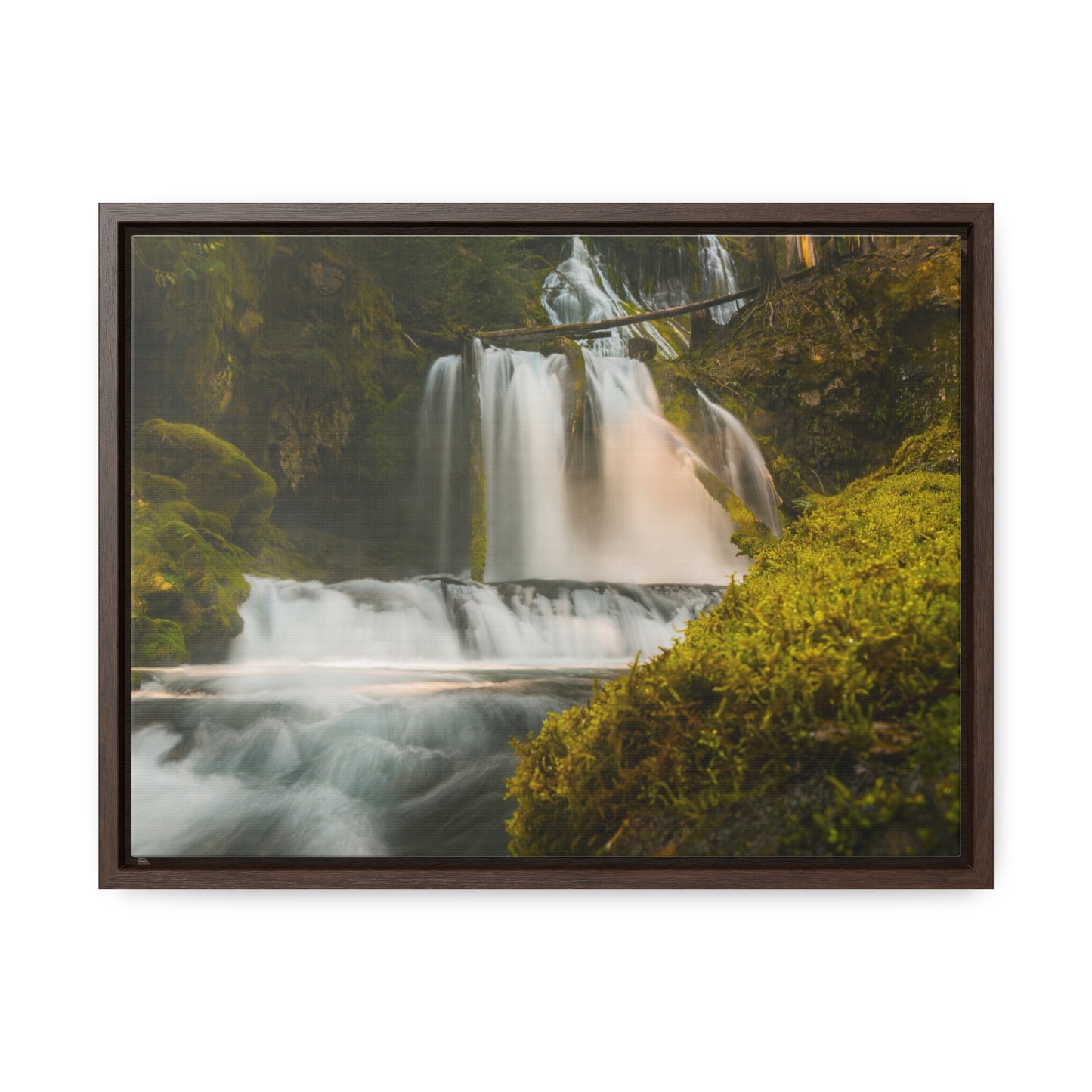 Washington - Lower Panther Creek Falls - Gallery Canvas Wrap, Horizontal Frame