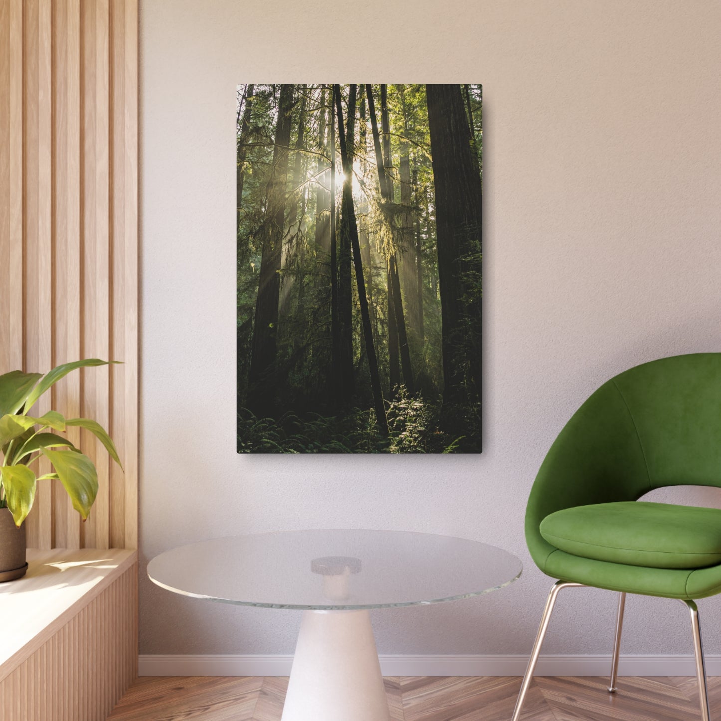 California - Redwoods Sunset - Metal Art Sign