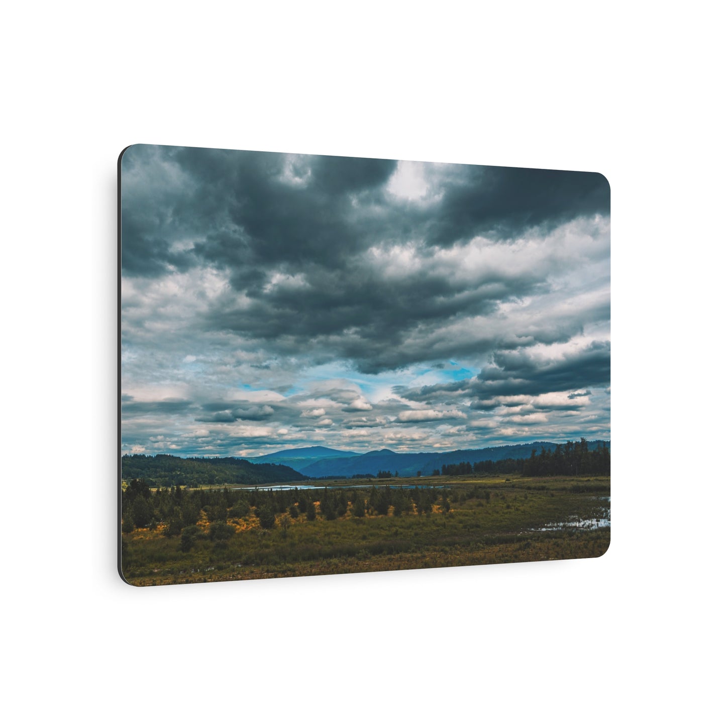 Washington - Steigerwald Lake National Wildlife Refuge - 2 - Metal Art Sign