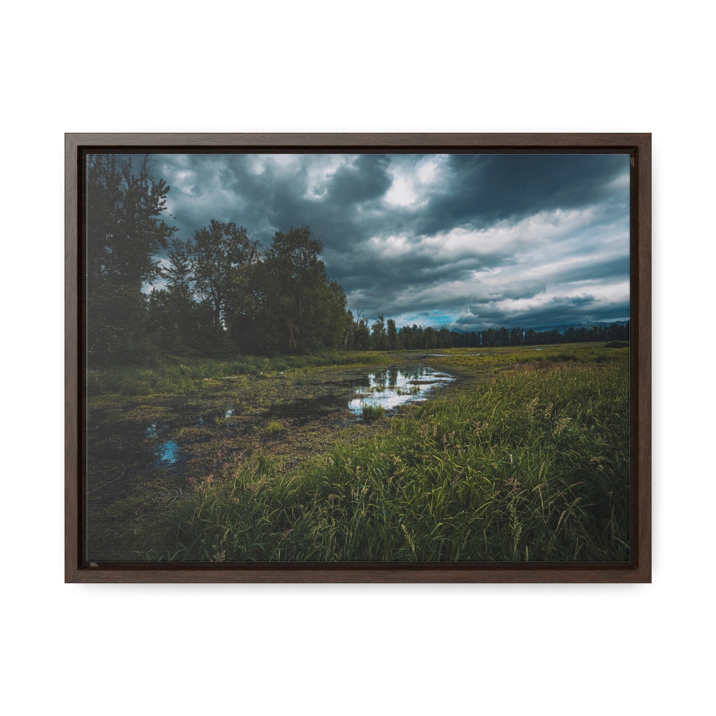 Washington - Steigerwald Lake National Wildlife Refuge - Gallery Canvas Wrap, Horizontal Frame
