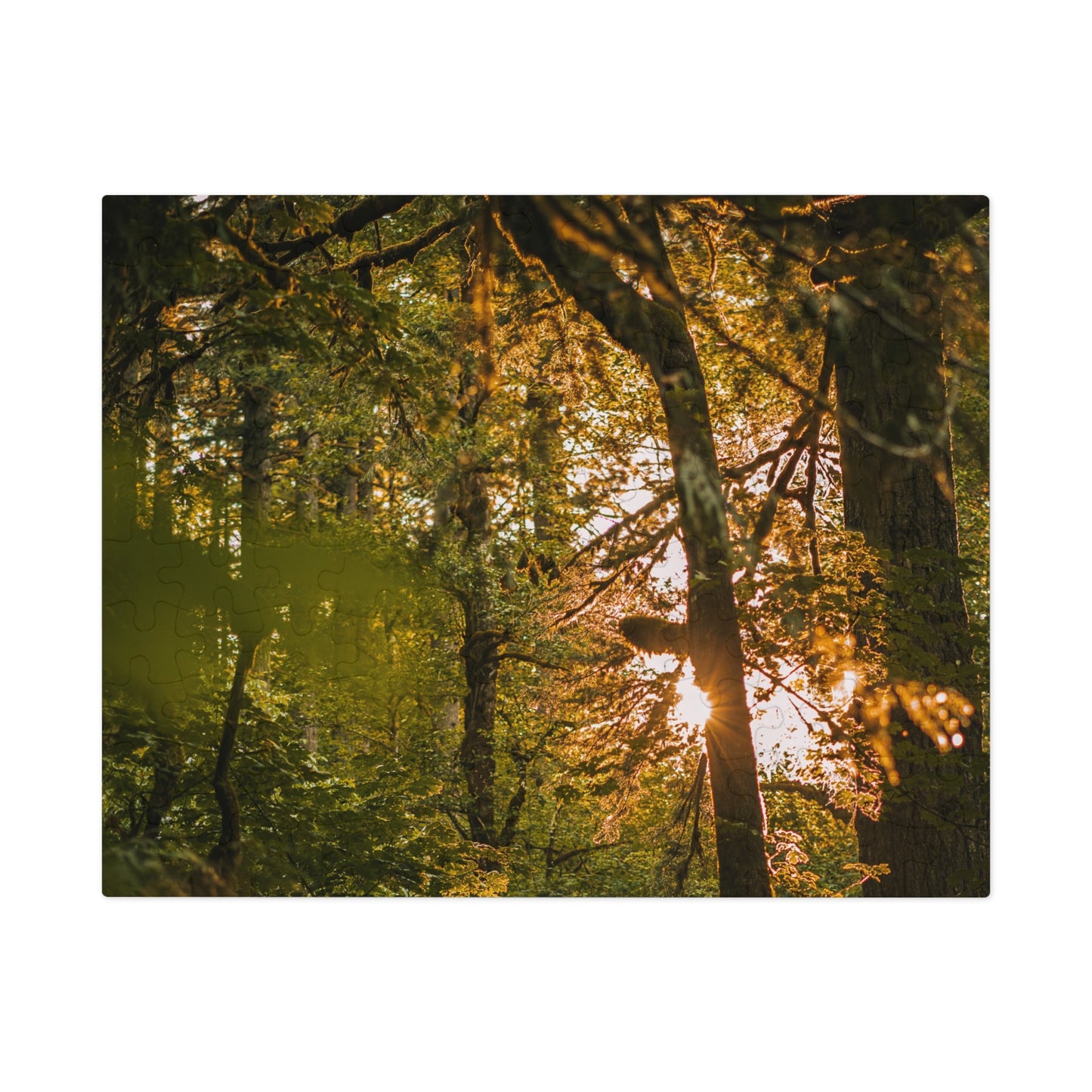 Oregon - Latourell Falls Sunset - Jigsaw Puzzle (30, 110, 252, 500,1000-Piece)