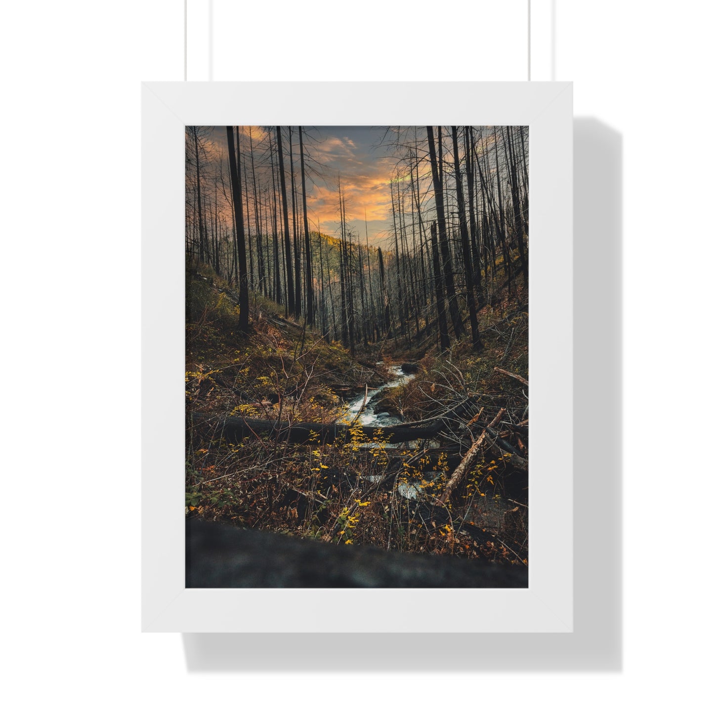 Oregon - Fall Creek Falls - Framed Vertical Poster