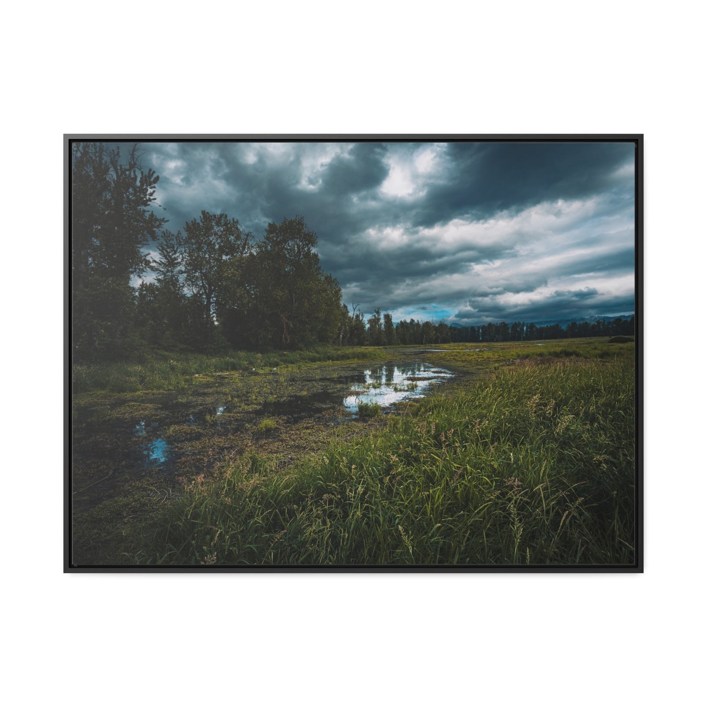 Washington - Steigerwald Lake National Wildlife Refuge - Gallery Canvas Wrap, Horizontal Frame