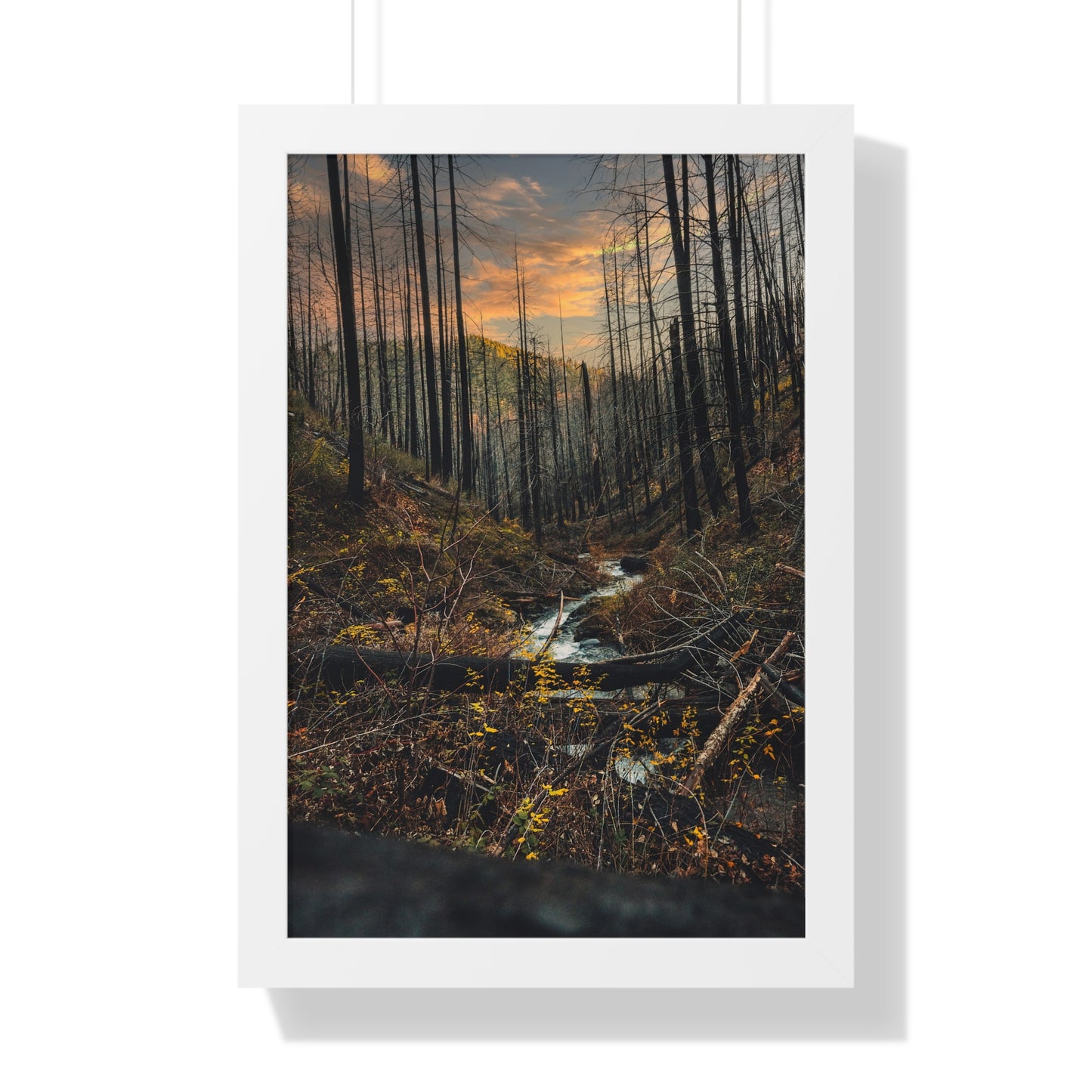 Oregon - Fall Creek Falls - Framed Vertical Poster