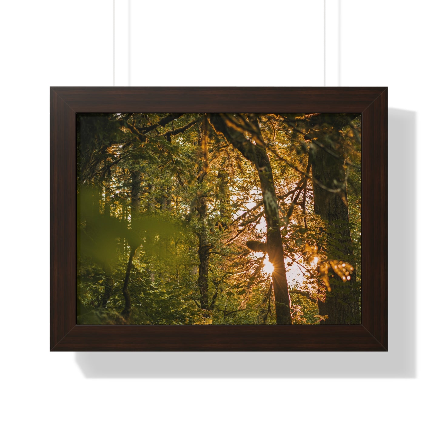 Oregon - Latourell Falls Sunset - Framed Horizontal Poster