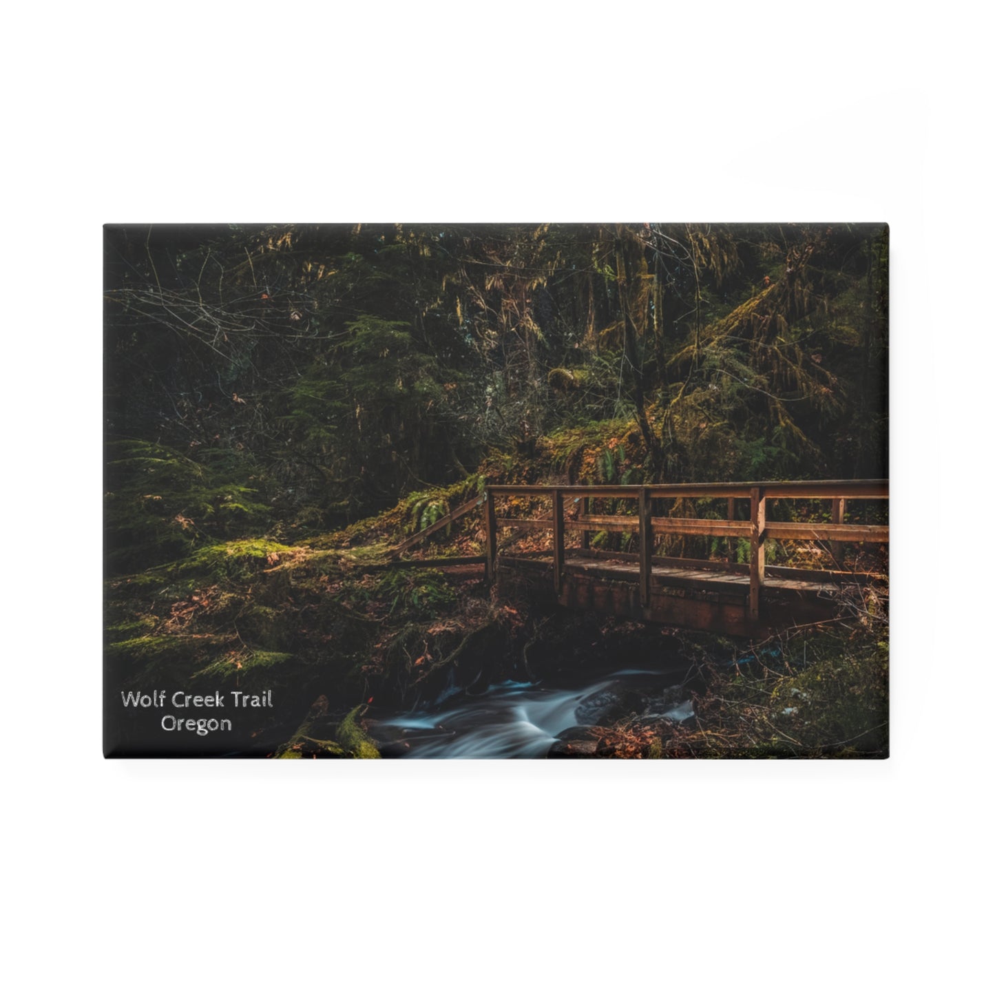 Oregon - Wolf Creek Trail - Magnet