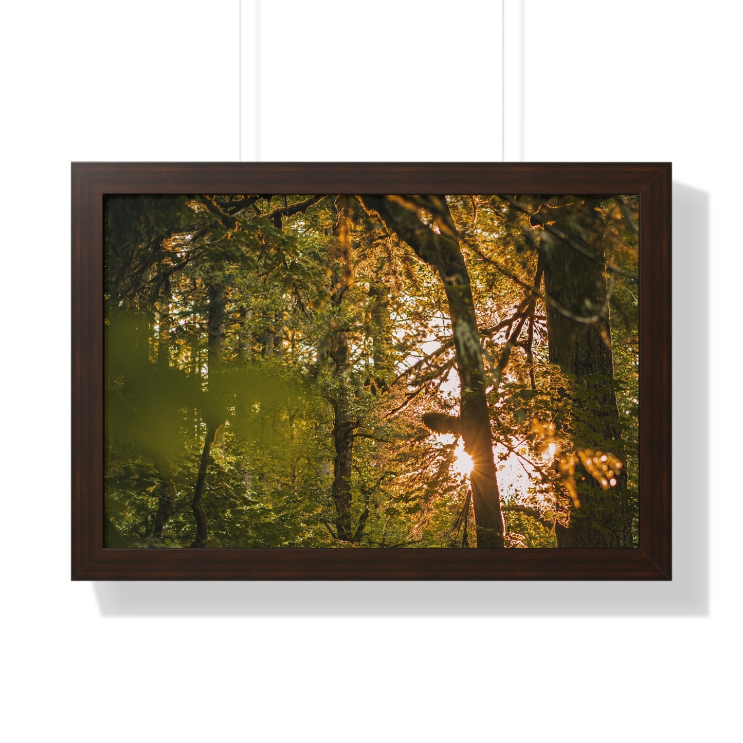 Oregon - Latourell Falls Sunset - Framed Horizontal Poster