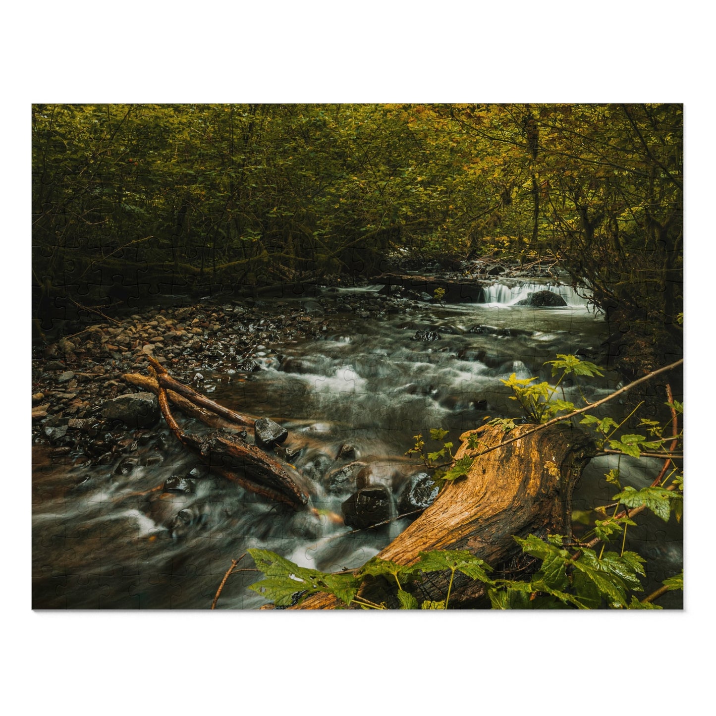 Oregon - Latourell Falls Small Creek - Jigsaw Puzzle (30, 110, 252, 500,1000-Piece)