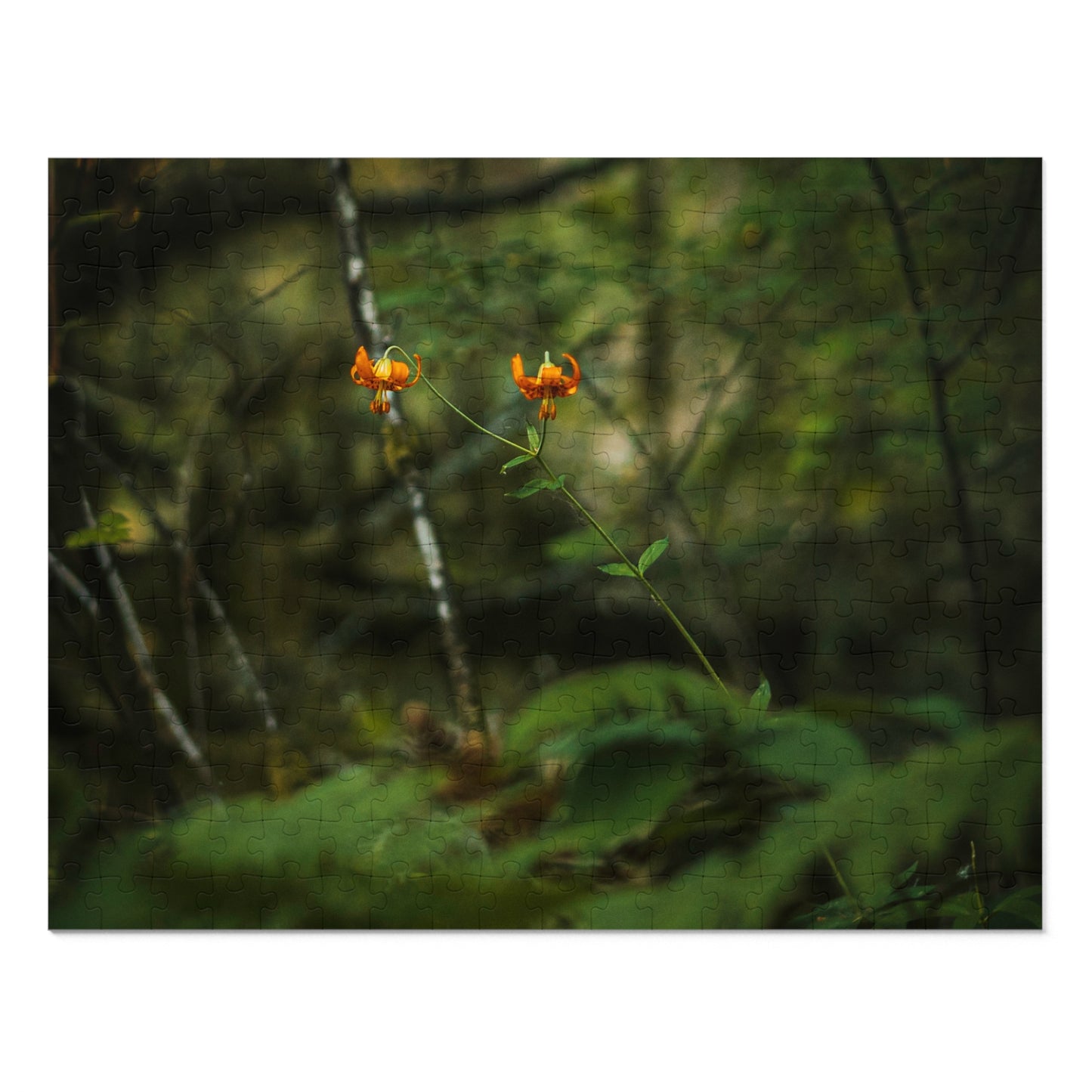 Oregon Tiger Lily - Jigsaw Puzzle (30, 110, 252, 500,1000-Piece)