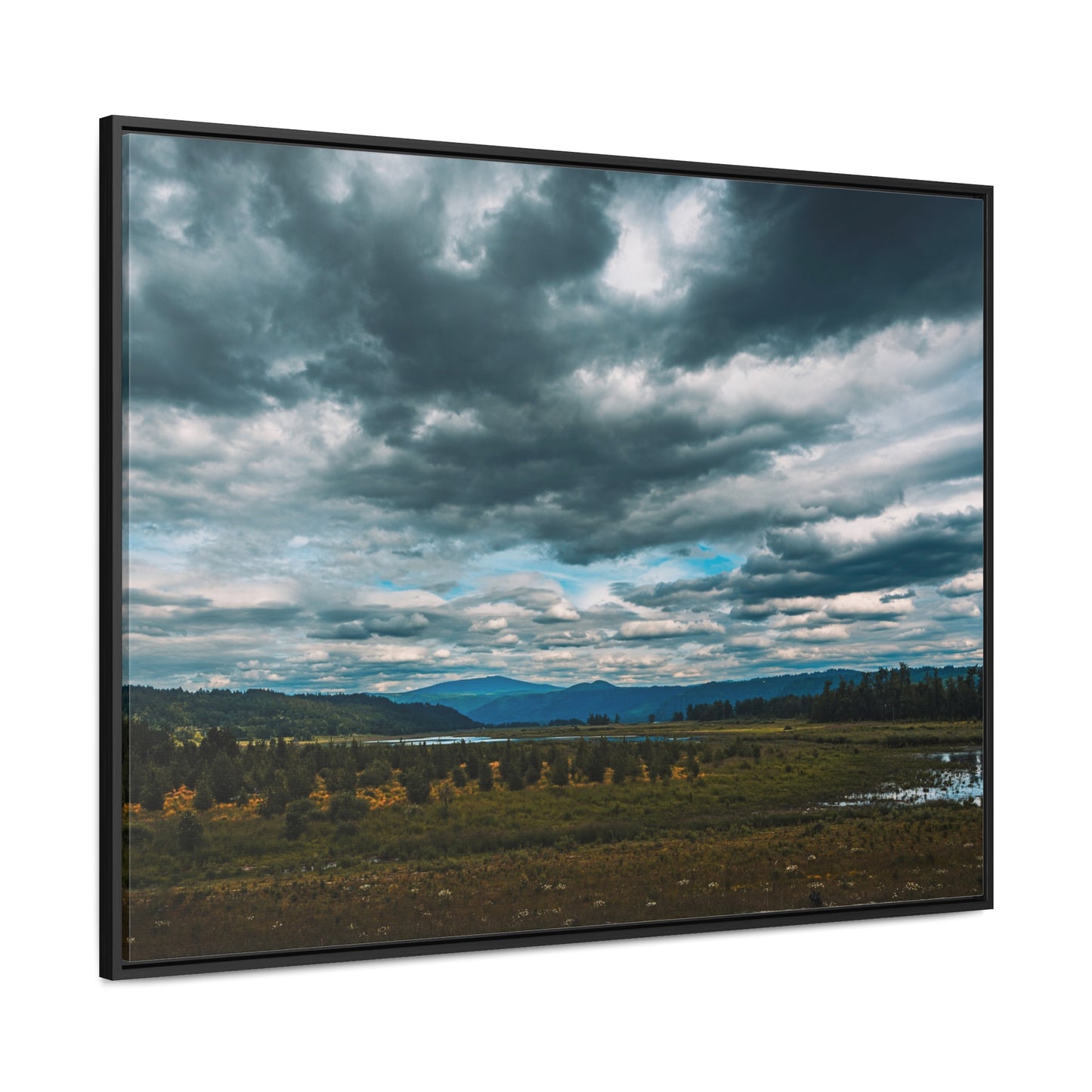 Washington - Steigerwald Lake National Wildlife Refuge - 2 - Gallery Canvas Wrap, Horizontal Frame