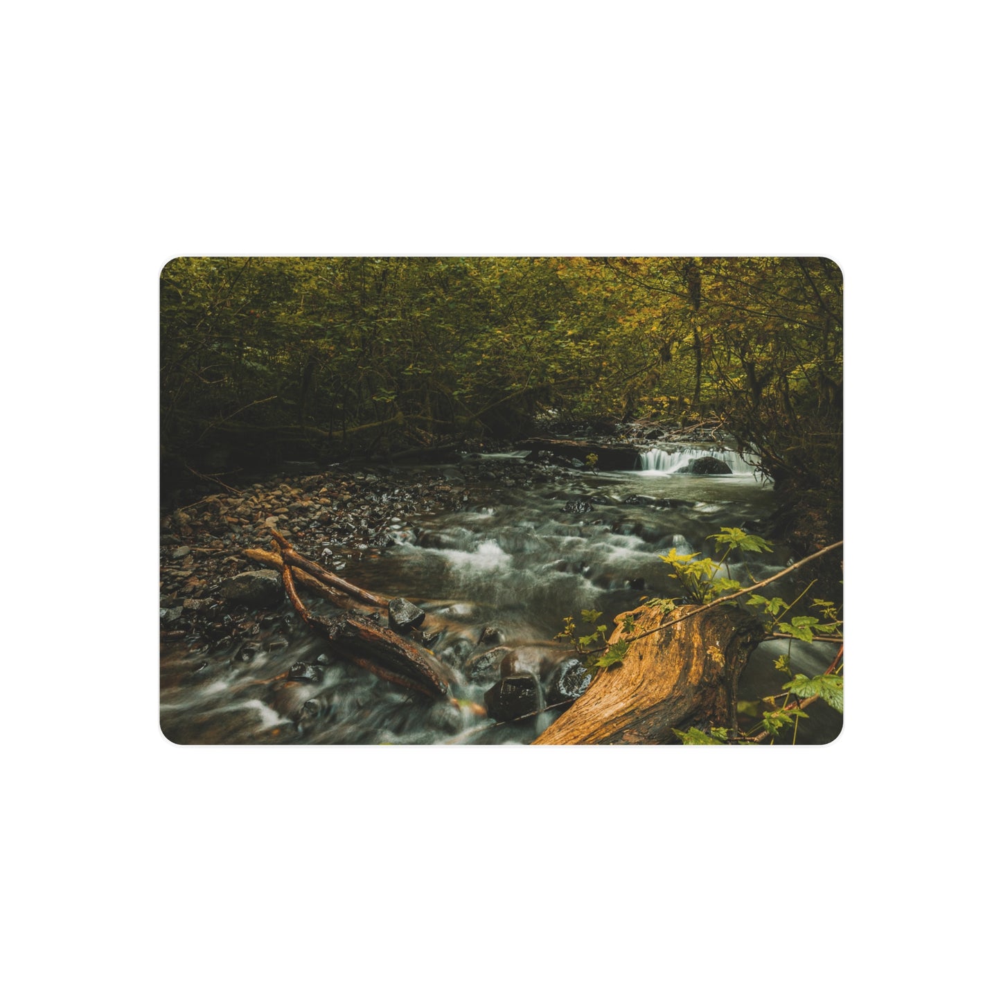 Oregon - Latourell Falls Small Creek - Metal Art Sign