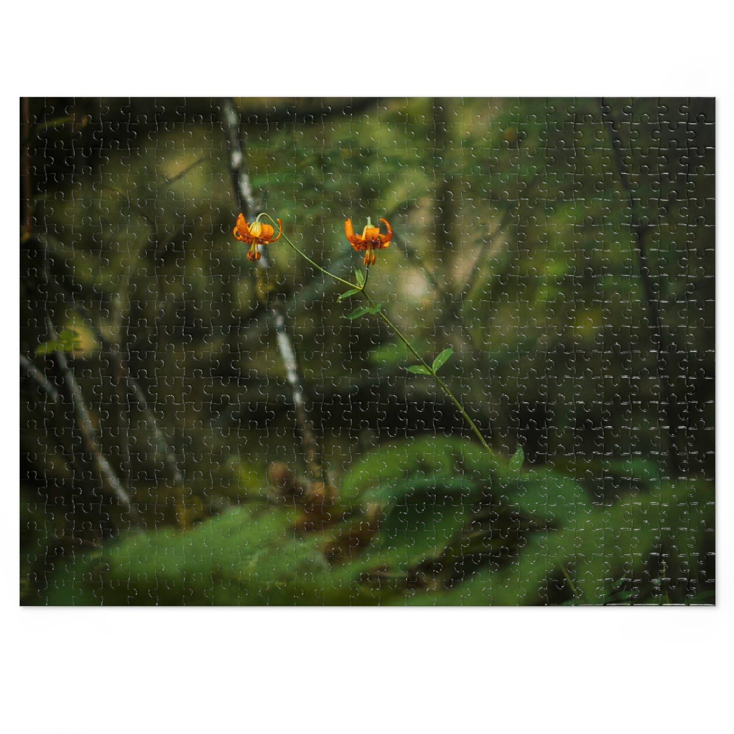 Oregon Tiger Lily - Jigsaw Puzzle (30, 110, 252, 500,1000-Piece)