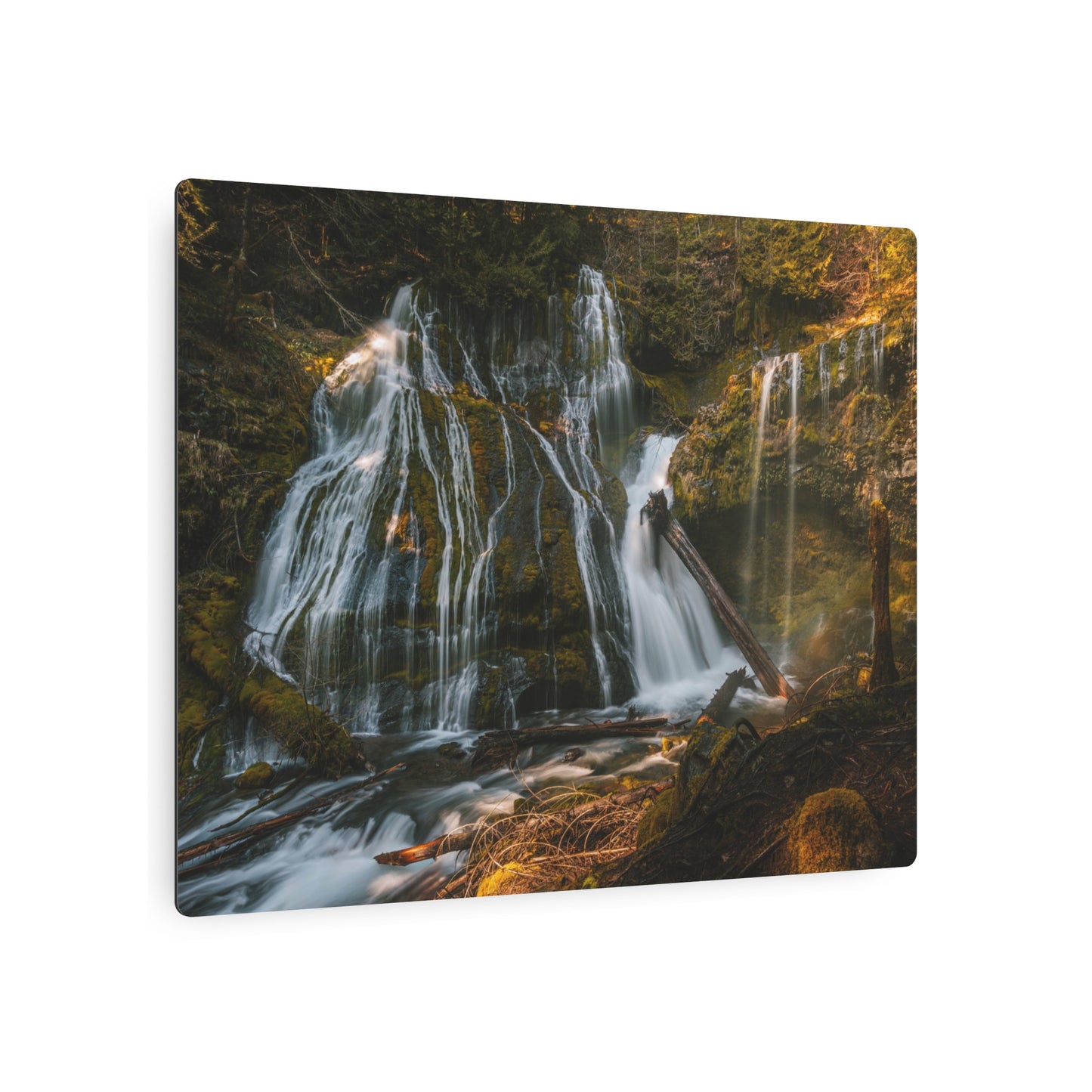 Washington - Panther Creek Falls -  Metal Art Sign
