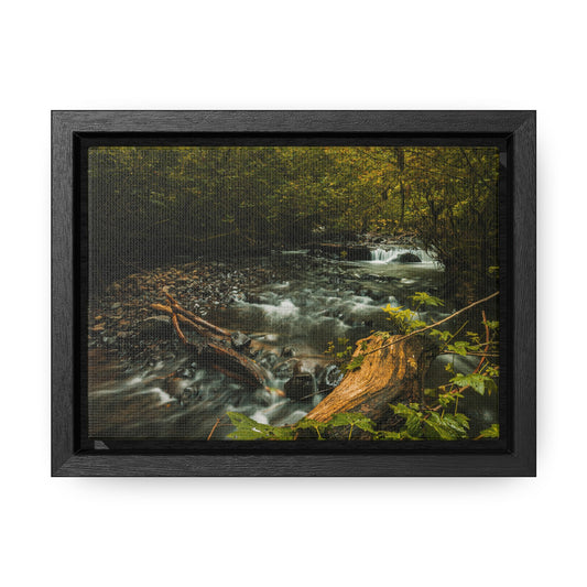 Oregon - Latourell Falls Small Creek - Gallery Canvas Wrap, Horizontal Frame